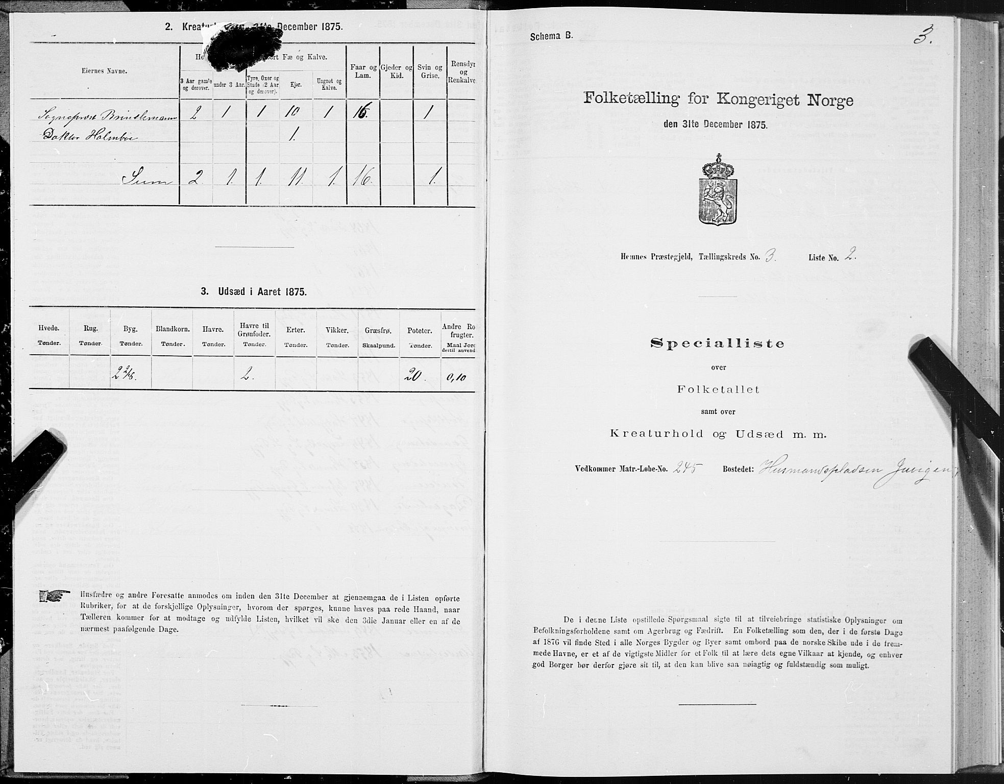 SAT, 1875 census for 1832P Hemnes, 1875, p. 2003