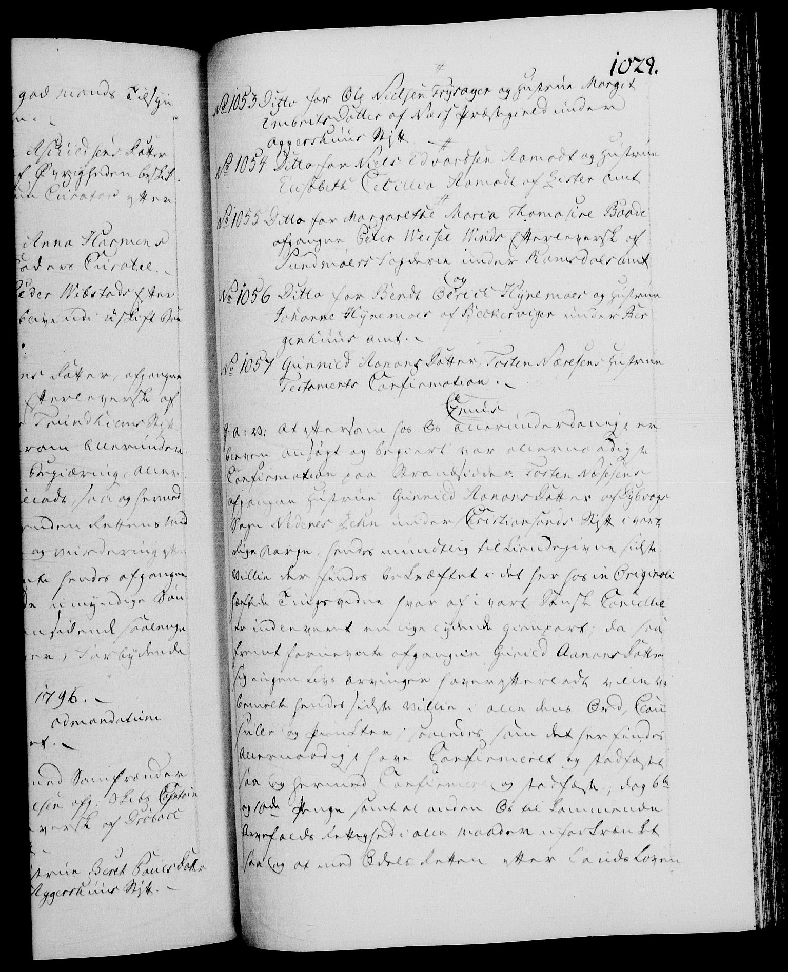 Danske Kanselli 1572-1799, AV/RA-EA-3023/F/Fc/Fca/Fcaa/L0056: Norske registre, 1795-1796, p. 1029a