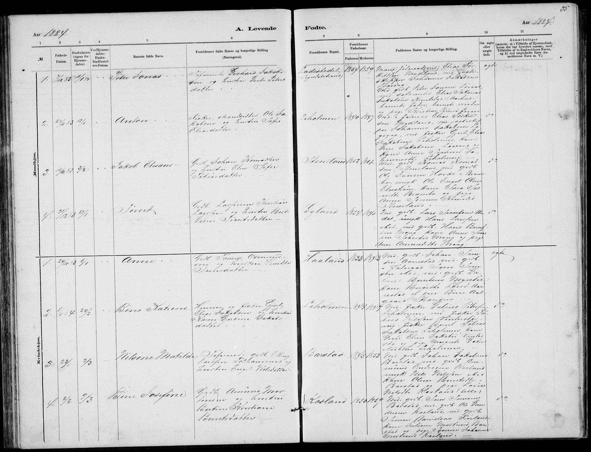 Sokndal sokneprestkontor, AV/SAST-A-101808: Parish register (copy) no. B 4, 1880-1891, p. 55