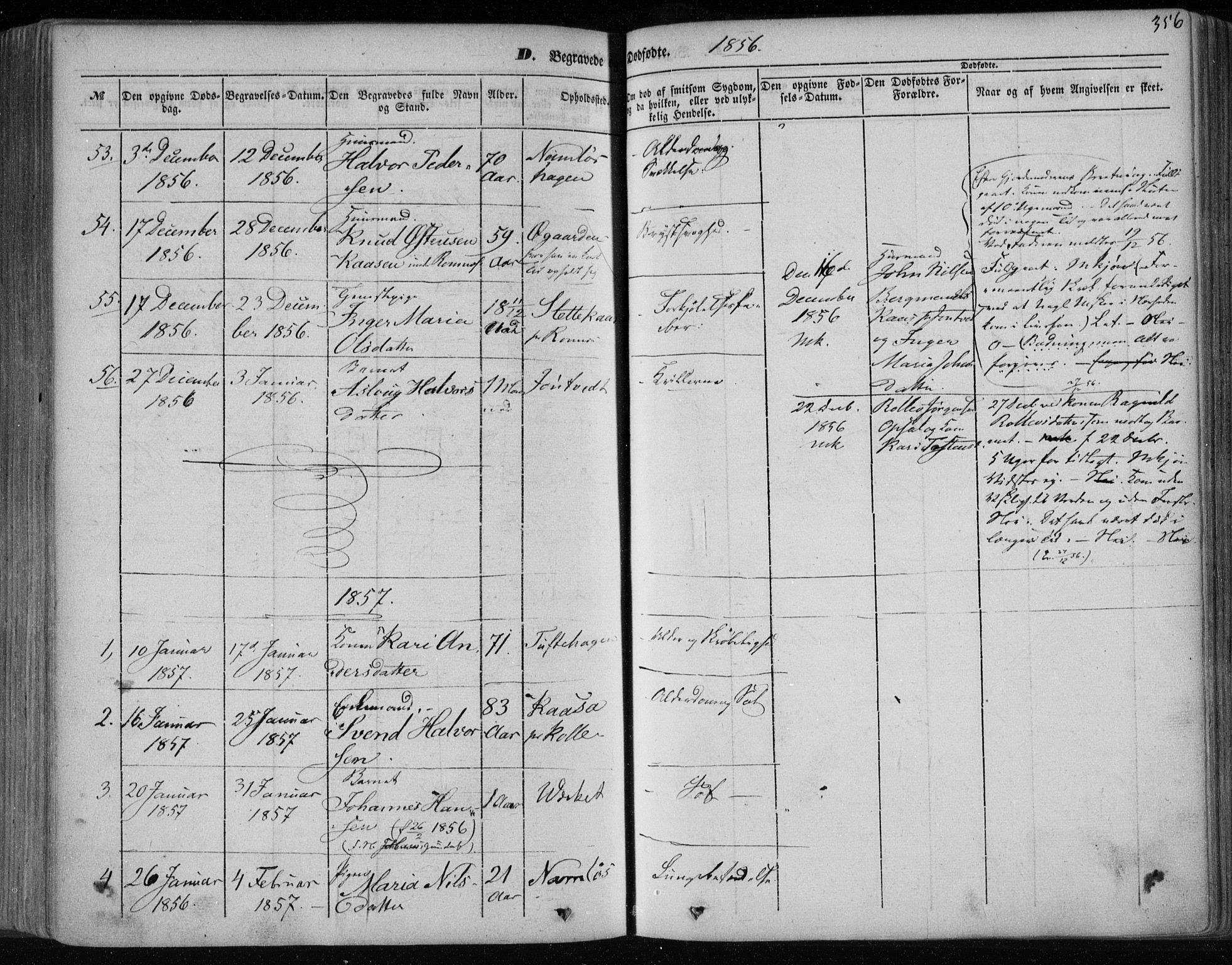 Holla kirkebøker, SAKO/A-272/F/Fa/L0005: Parish register (official) no. 5, 1849-1860, p. 356