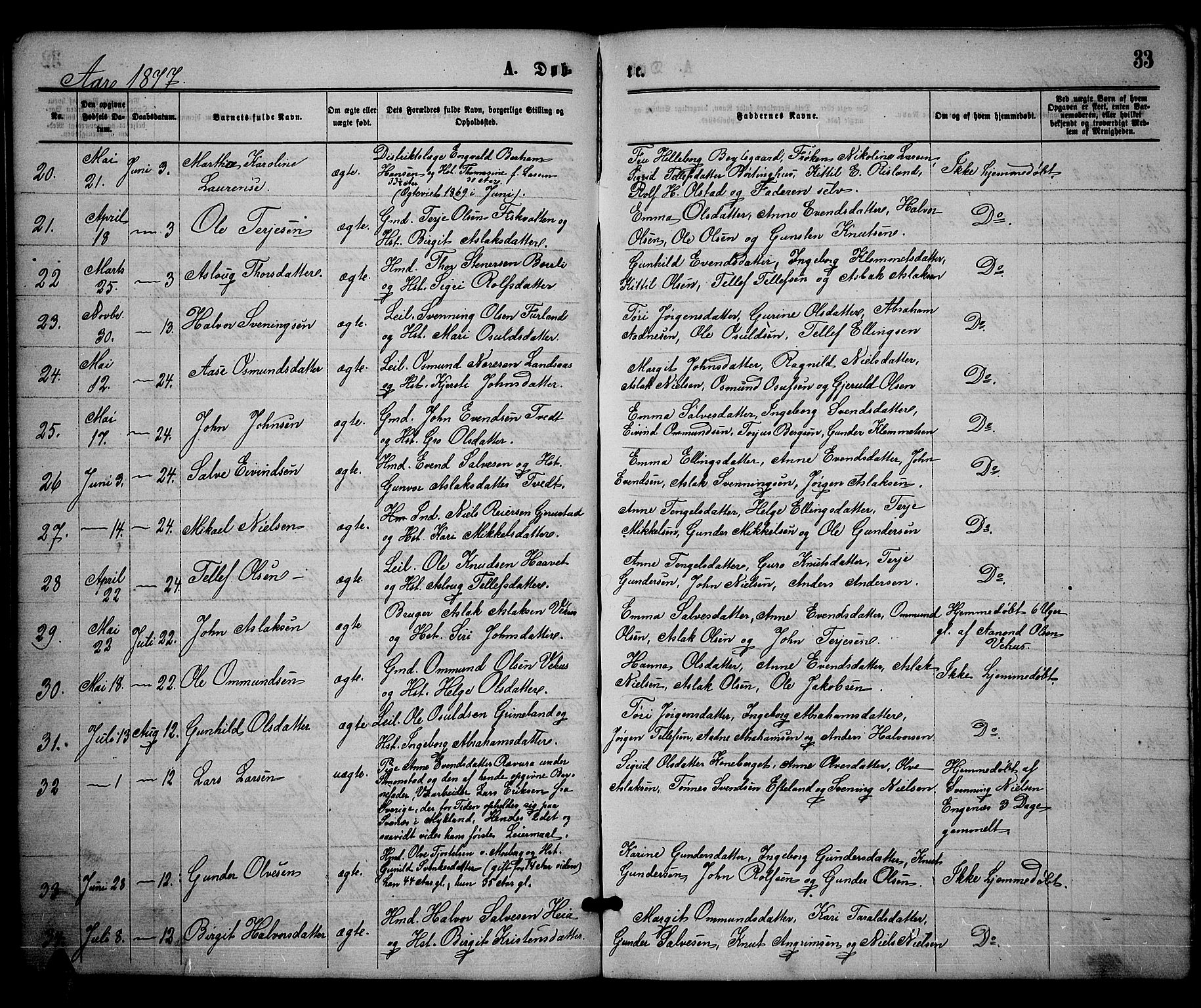 Åmli sokneprestkontor, AV/SAK-1111-0050/F/Fb/Fbc/L0003: Parish register (copy) no. B 3, 1868-1888, p. 33