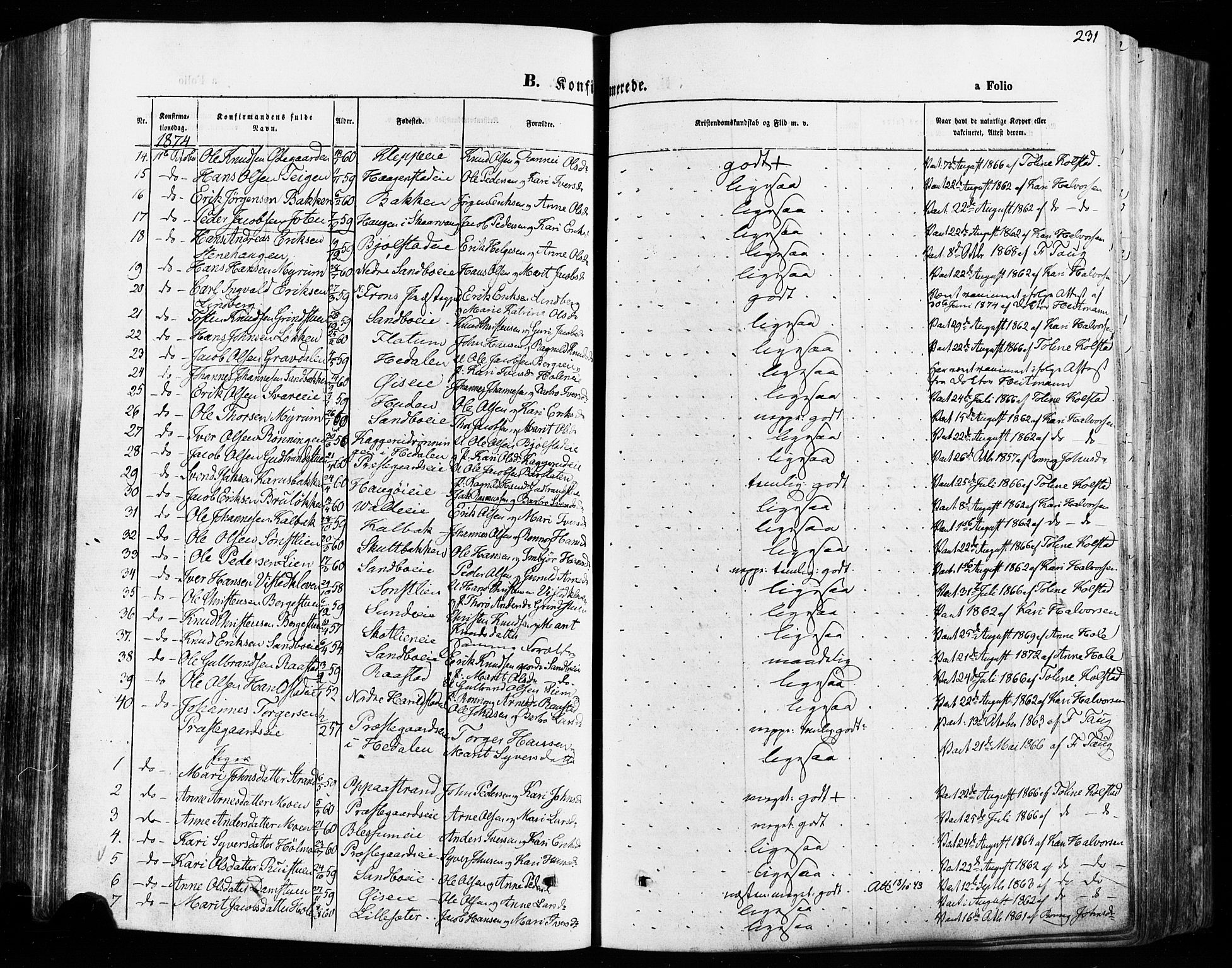 Vågå prestekontor, SAH/PREST-076/H/Ha/Haa/L0007: Parish register (official) no. 7 /1, 1872-1886, p. 231