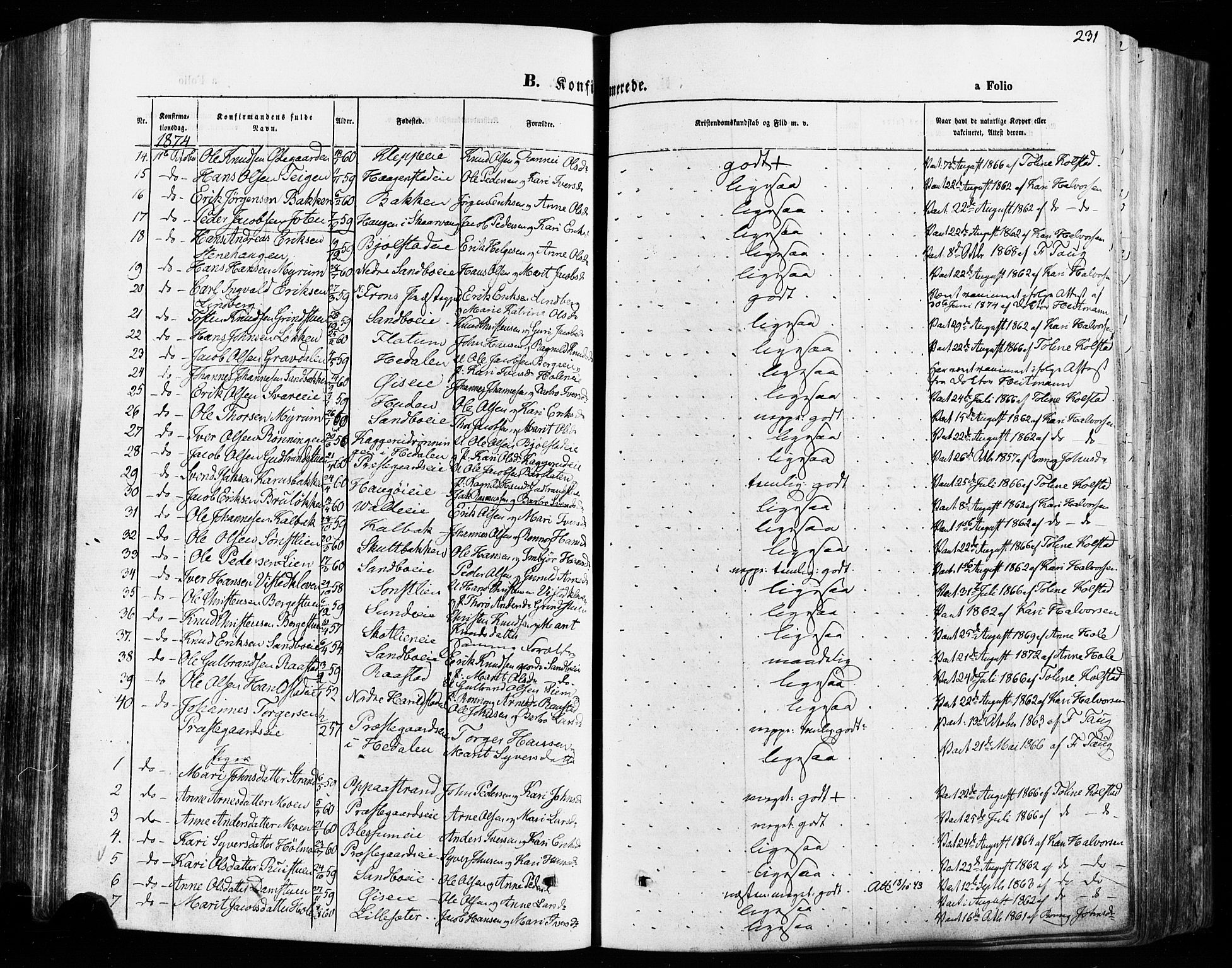 Vågå prestekontor, AV/SAH-PREST-076/H/Ha/Haa/L0007: Parish register (official) no. 7 /1, 1872-1886, p. 231