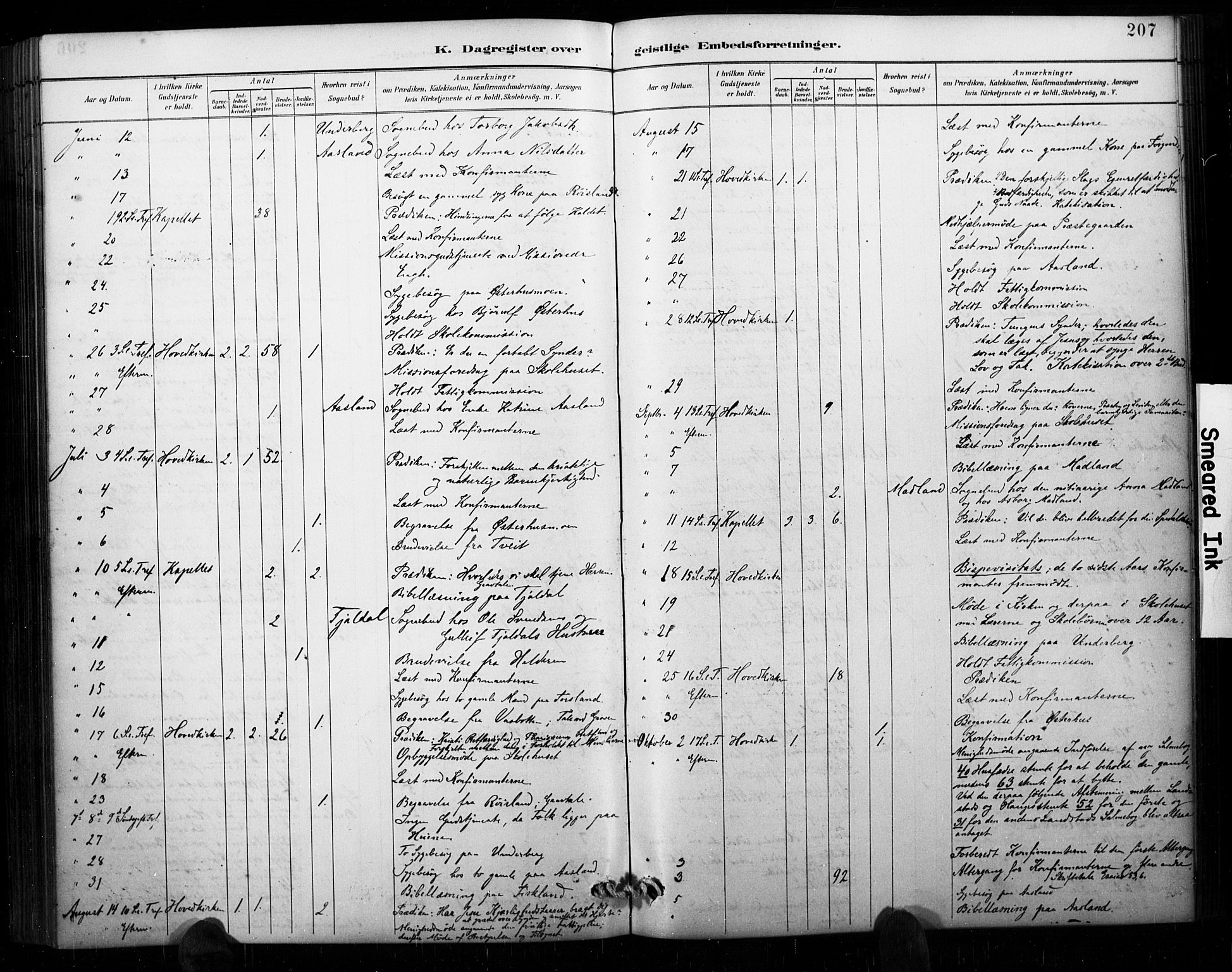 Åseral sokneprestkontor, AV/SAK-1111-0051/F/Fa/L0003: Parish register (official) no. A 3, 1884-1901, p. 207