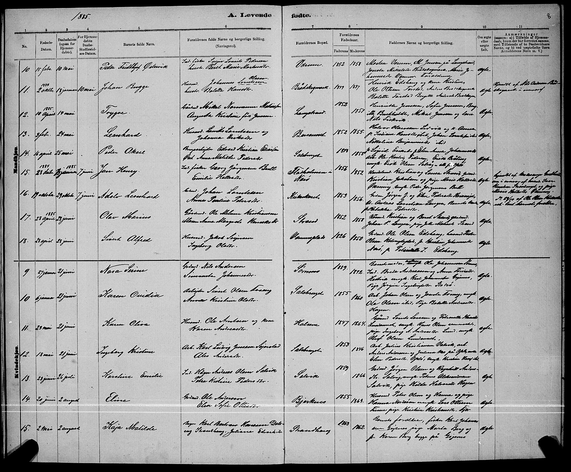 Ministerialprotokoller, klokkerbøker og fødselsregistre - Nord-Trøndelag, AV/SAT-A-1458/780/L0651: Parish register (copy) no. 780C03, 1884-1898, p. 8