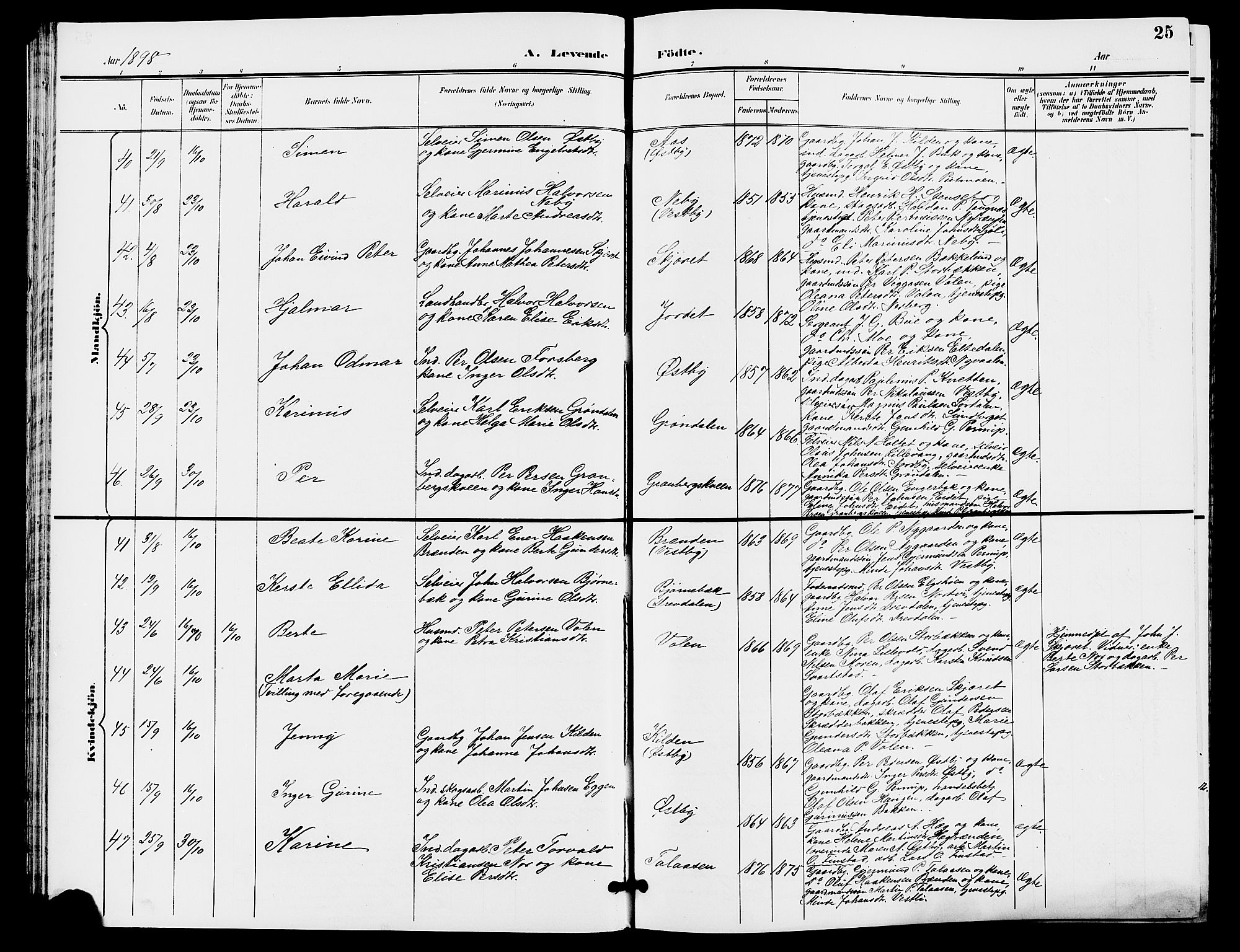 Trysil prestekontor, AV/SAH-PREST-046/H/Ha/Hab/L0006: Parish register (copy) no. 6, 1896-1912, p. 25