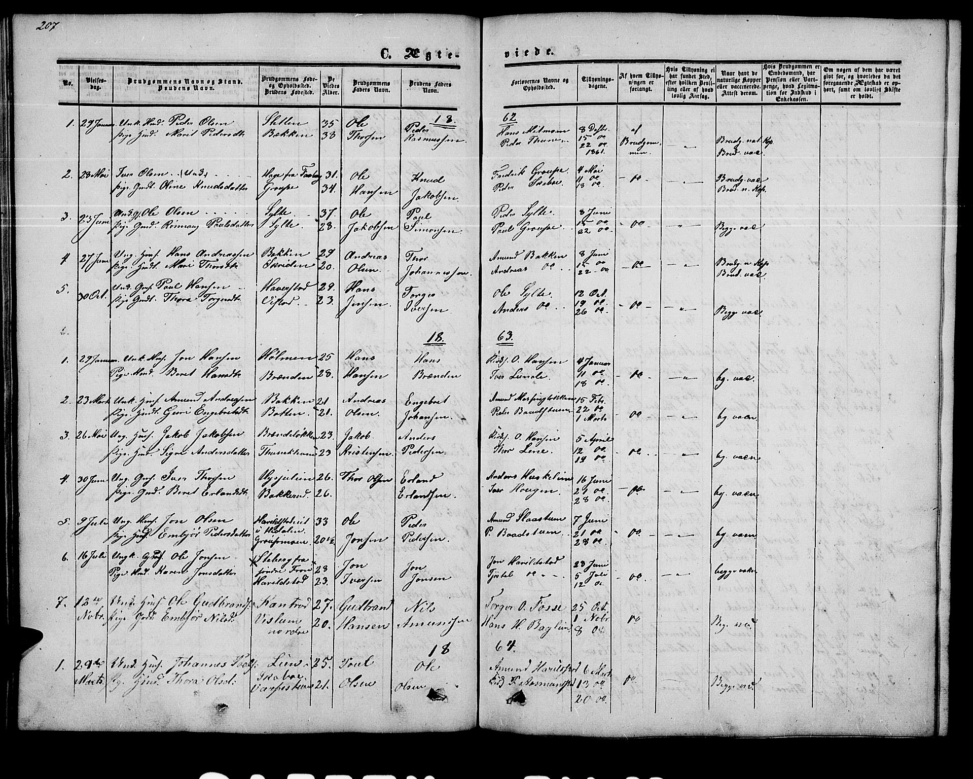 Nord-Fron prestekontor, SAH/PREST-080/H/Ha/Hab/L0002: Parish register (copy) no. 2, 1851-1883, p. 207