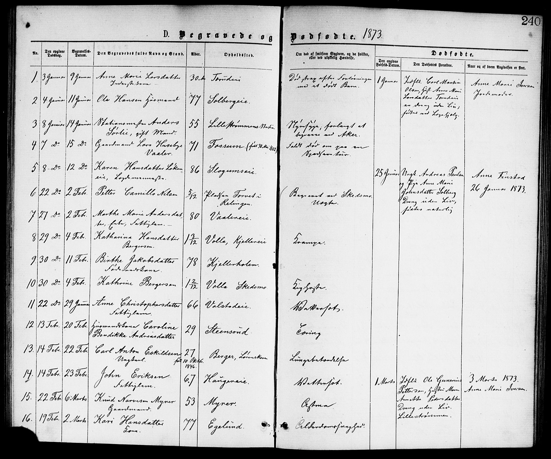 Skedsmo prestekontor Kirkebøker, SAO/A-10033a/G/Ga/L0003: Parish register (copy) no. I 3, 1873-1882, p. 240