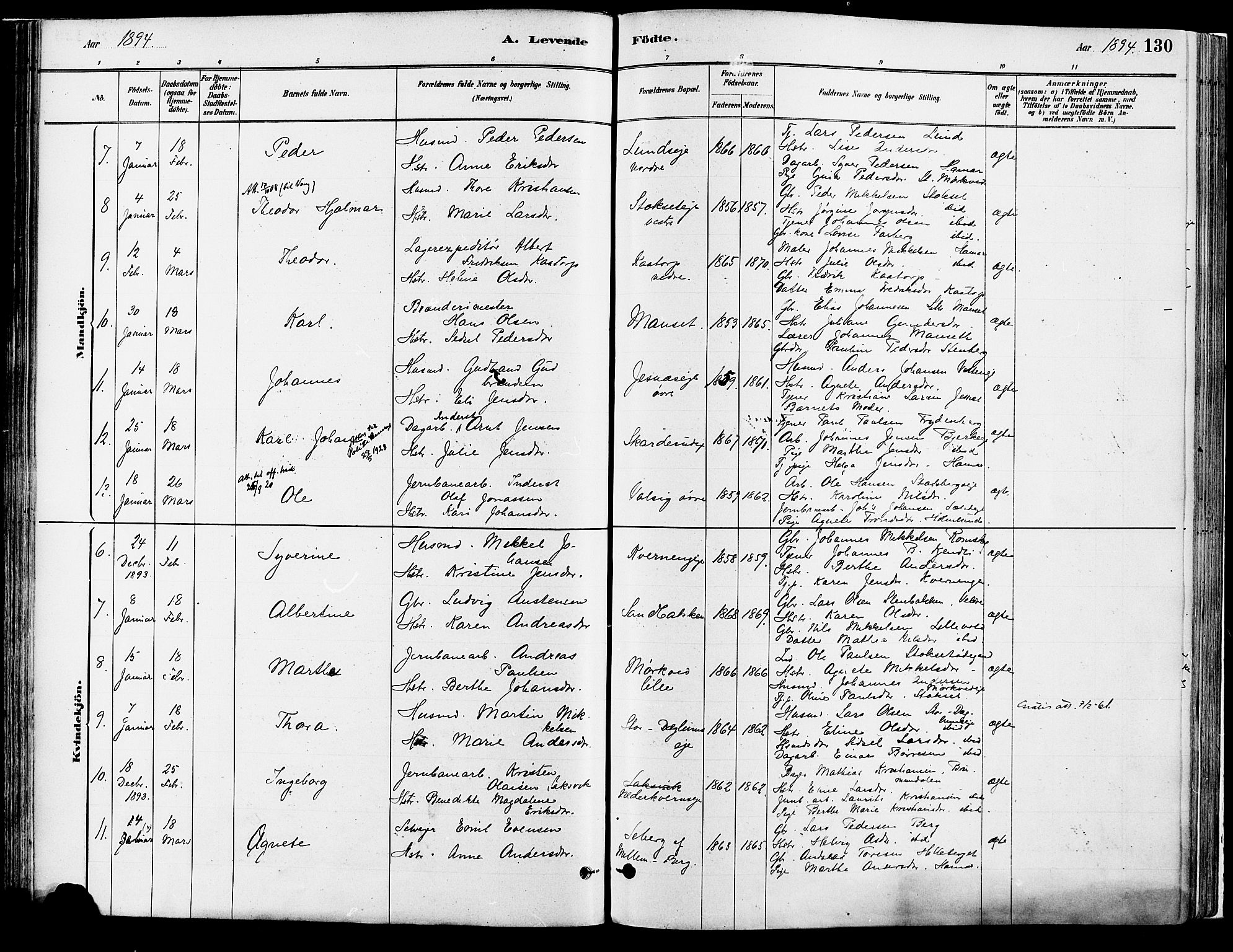 Vang prestekontor, Hedmark, AV/SAH-PREST-008/H/Ha/Haa/L0018A: Parish register (official) no. 18A, 1880-1906, p. 130