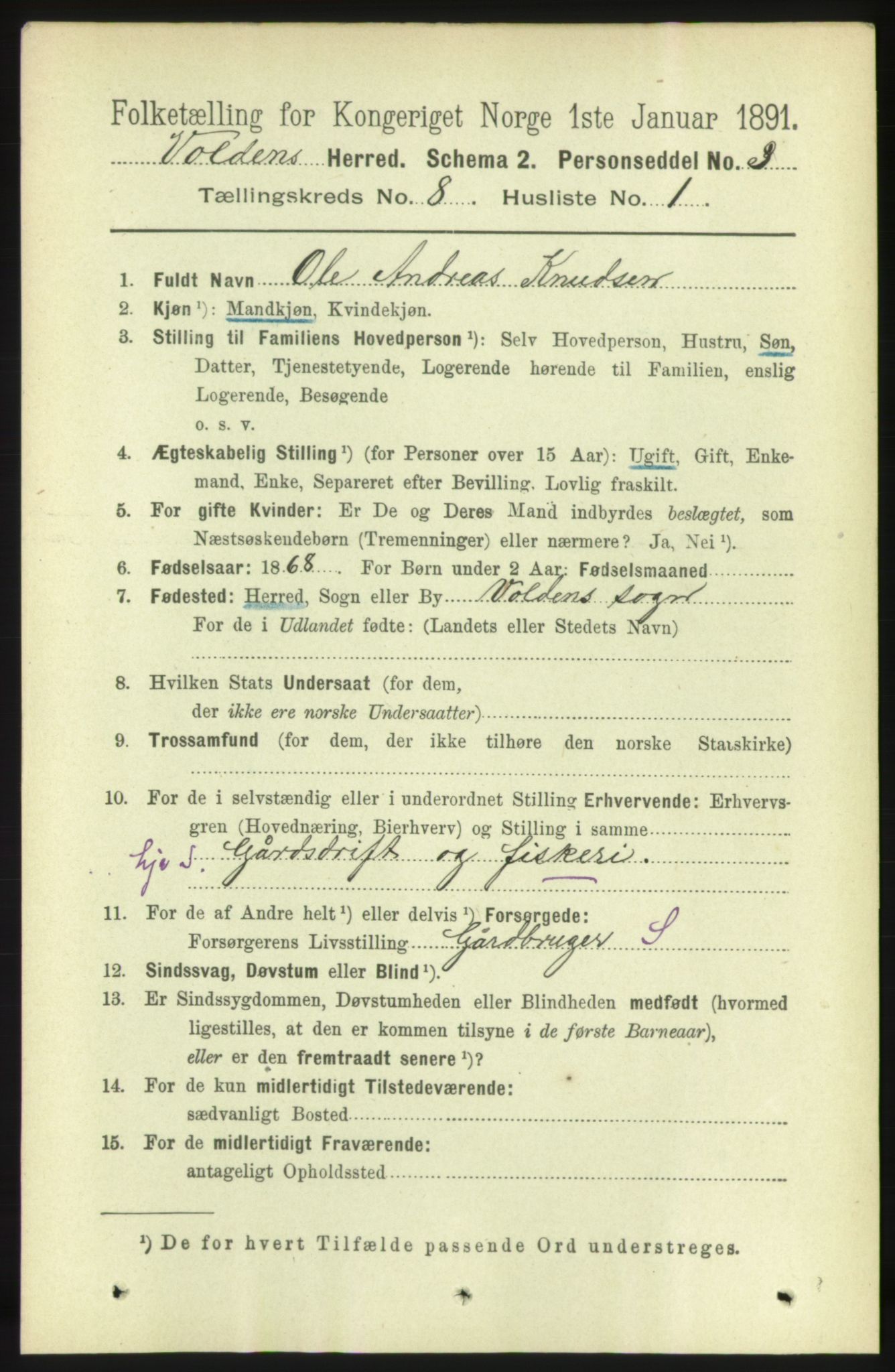 RA, 1891 census for 1519 Volda, 1891, p. 3828