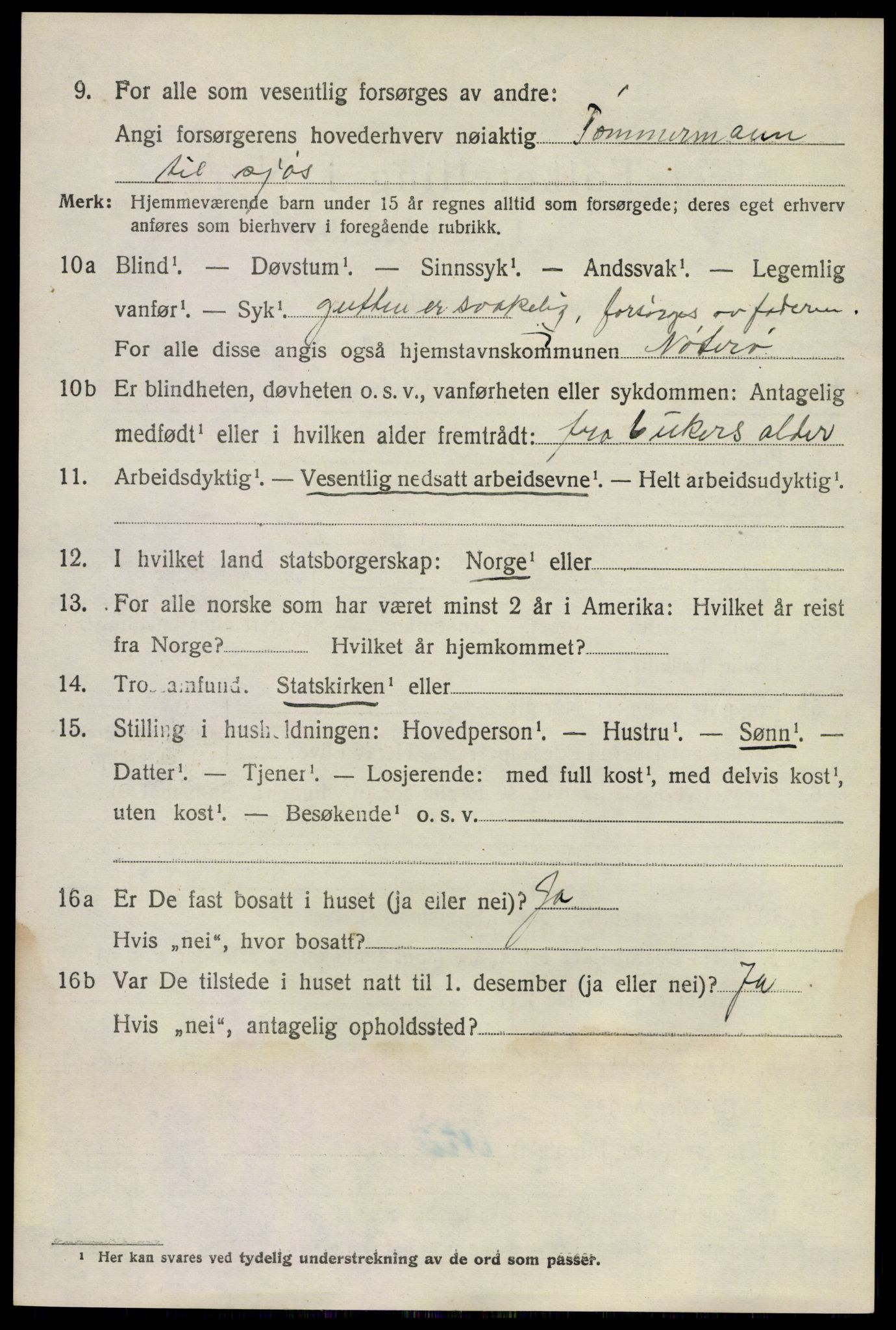SAKO, 1920 census for Nøtterøy, 1920, p. 10690