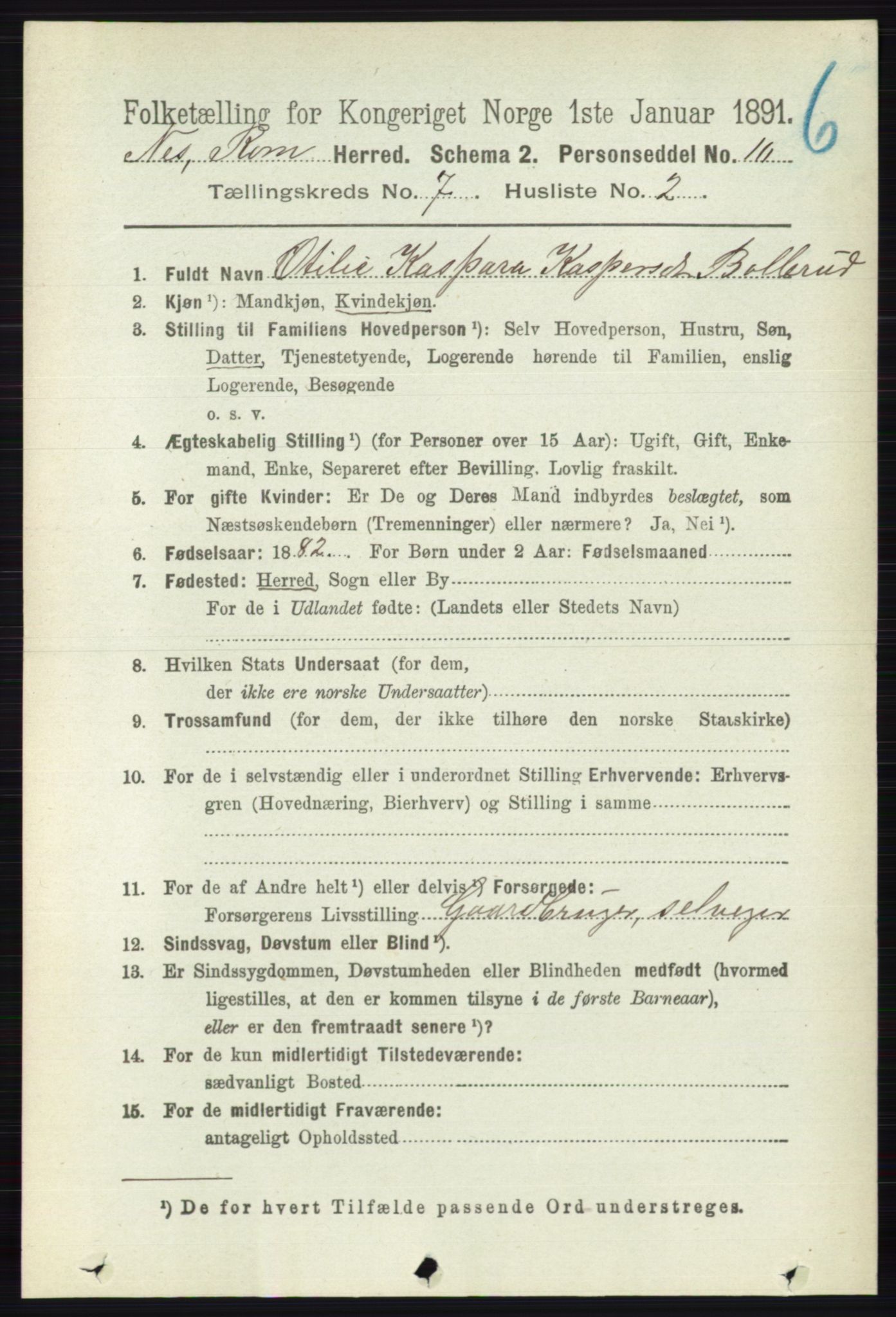 RA, 1891 census for 0236 Nes, 1891, p. 4034