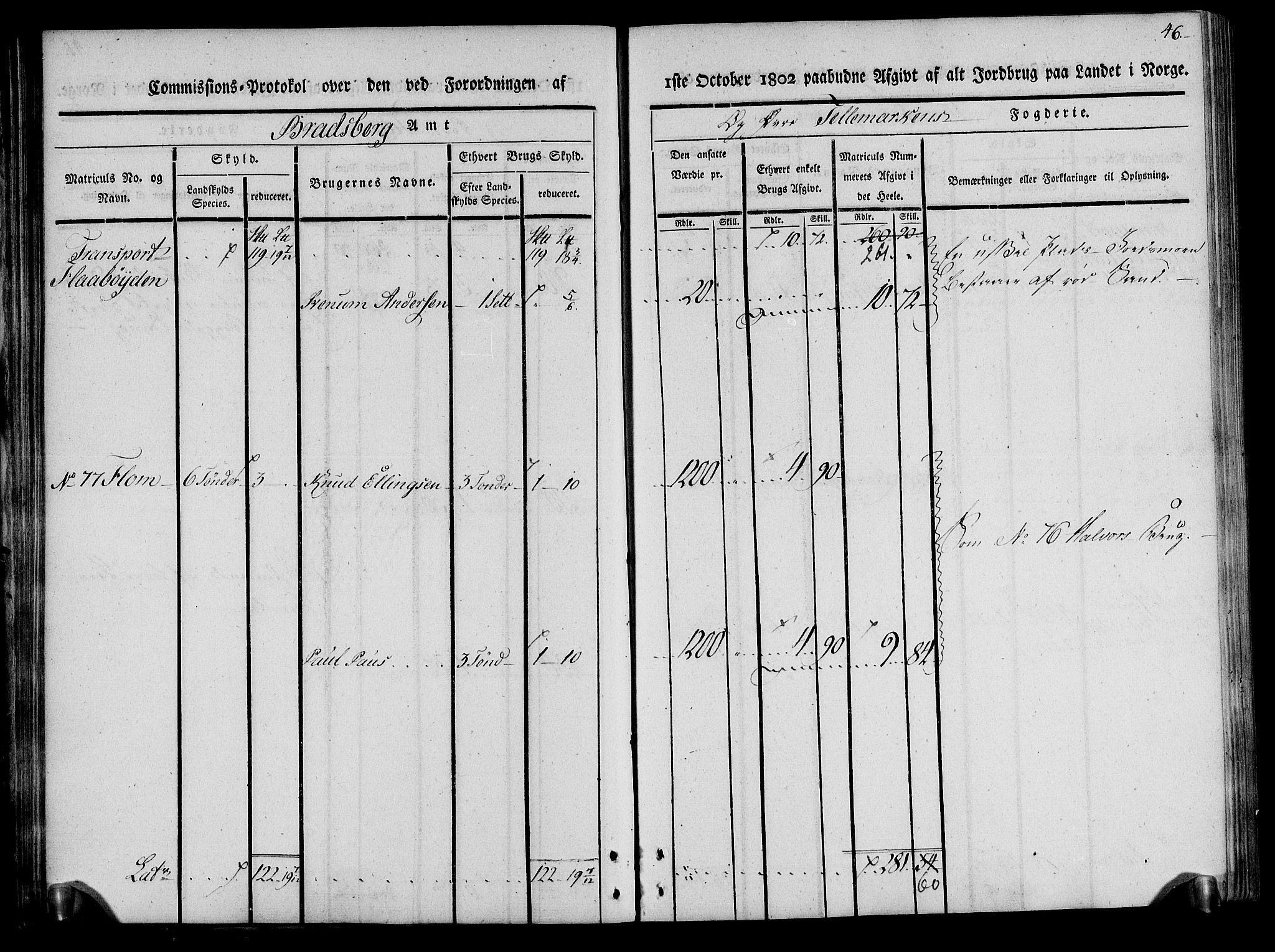 Rentekammeret inntil 1814, Realistisk ordnet avdeling, RA/EA-4070/N/Ne/Nea/L0075: Øvre Telemarken fogderi. Kommisjonsprotokoll for fogderiets vestre del - Kviteseid, Vinje, Moland [):Fyresdal] og Lårdal prestegjeld., 1803, p. 46