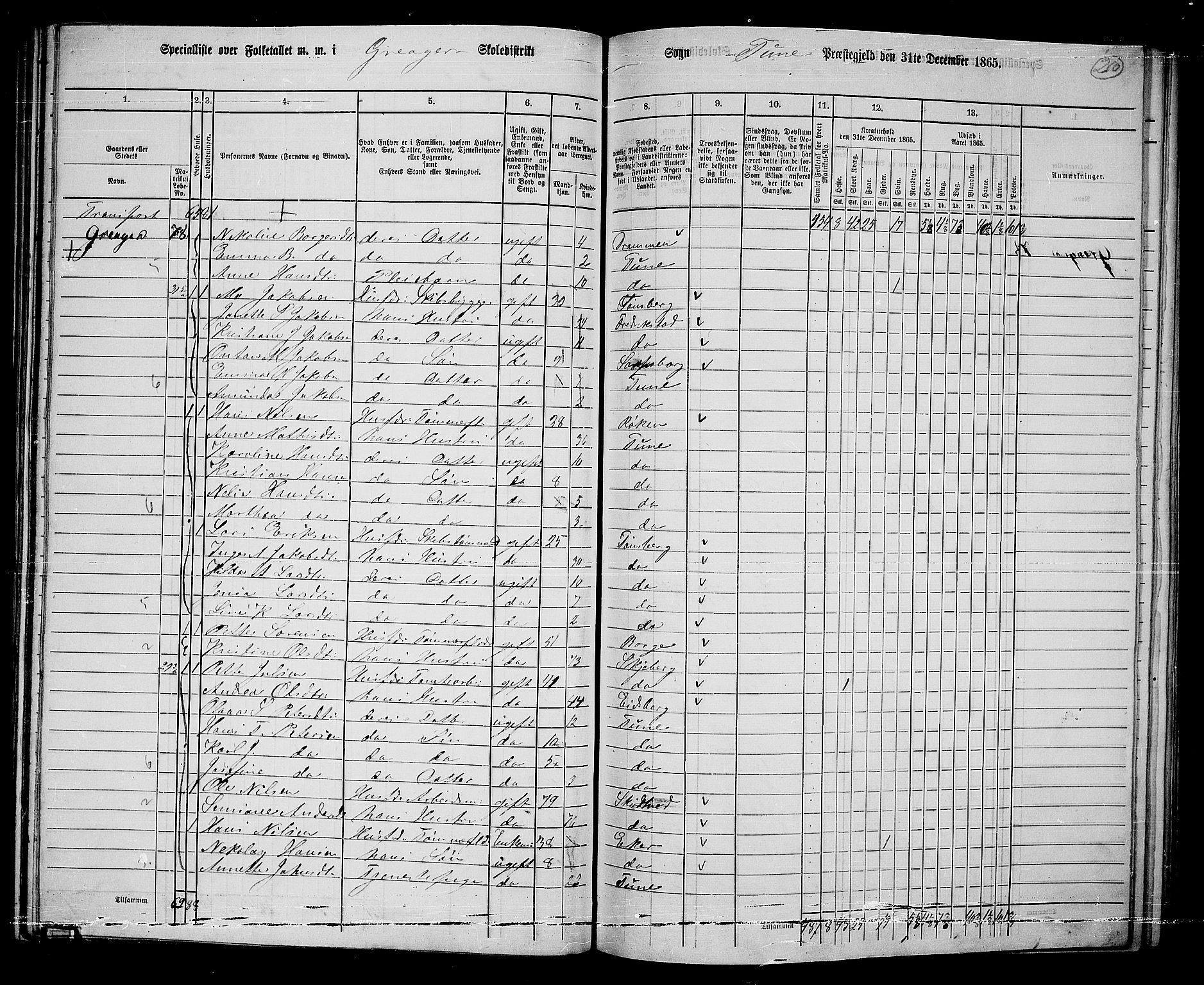 RA, 1865 census for Tune, 1865, p. 197