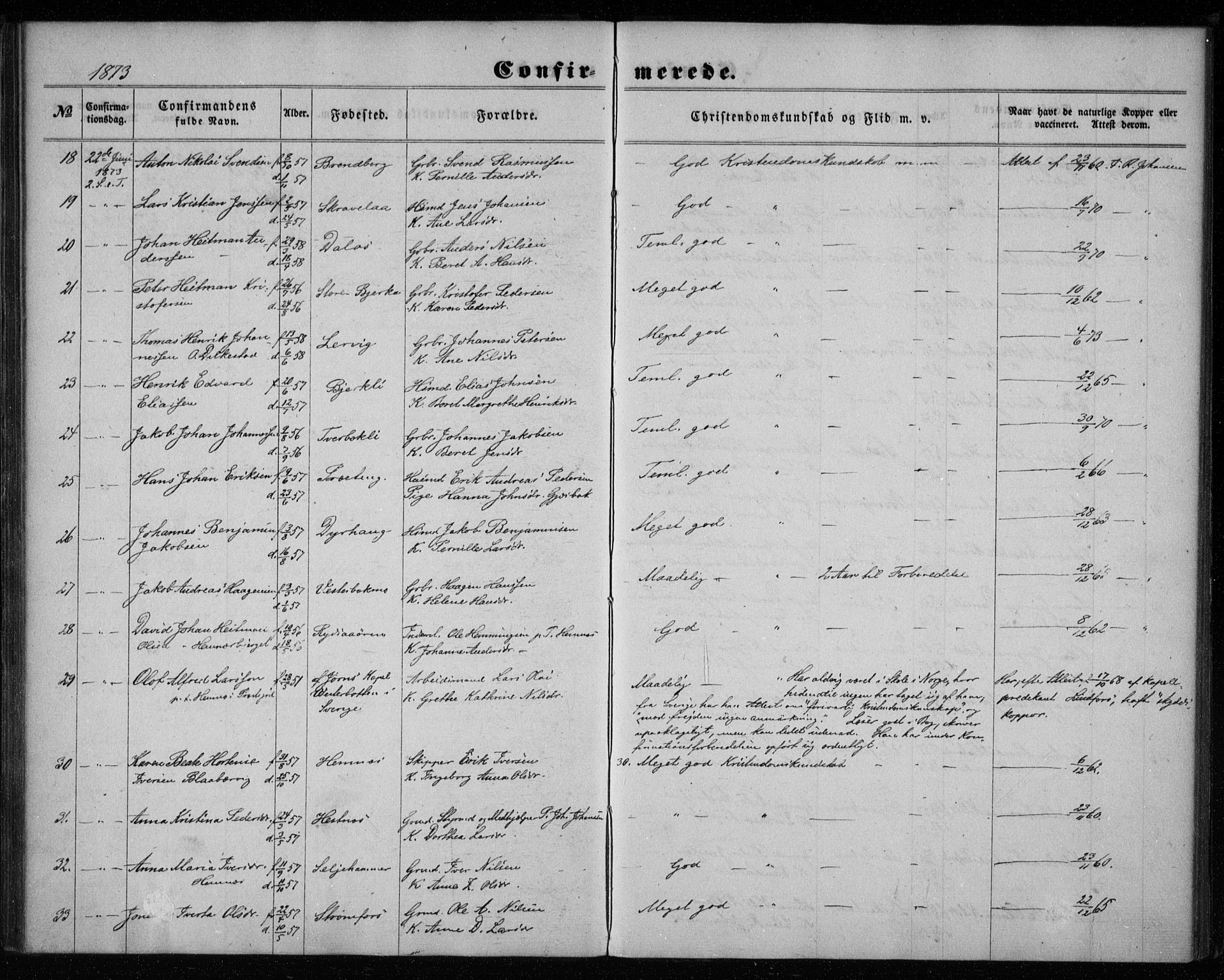 Ministerialprotokoller, klokkerbøker og fødselsregistre - Nordland, AV/SAT-A-1459/825/L0357: Parish register (official) no. 825A11, 1859-1877