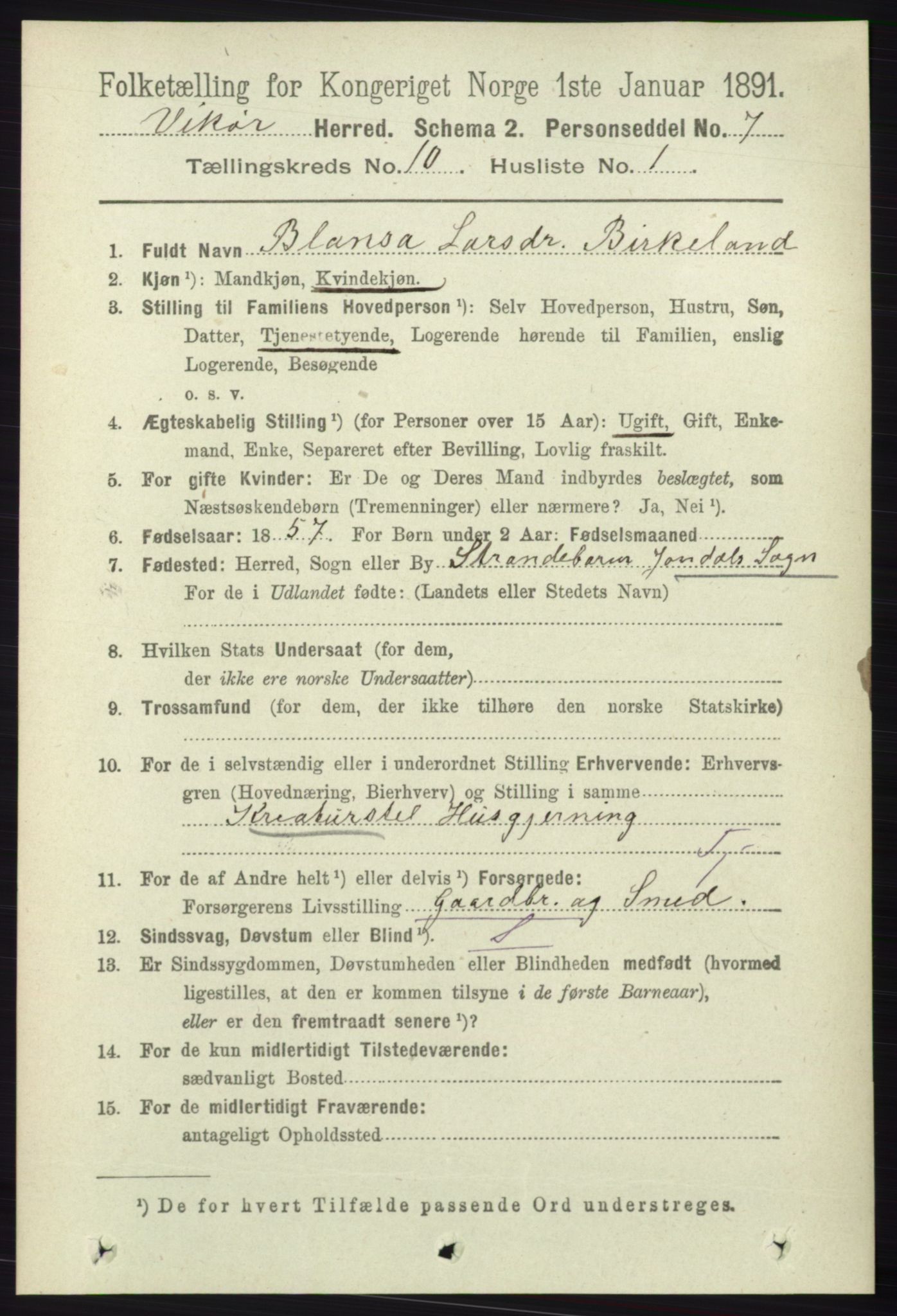 RA, 1891 census for 1238 Vikør, 1891, p. 2941