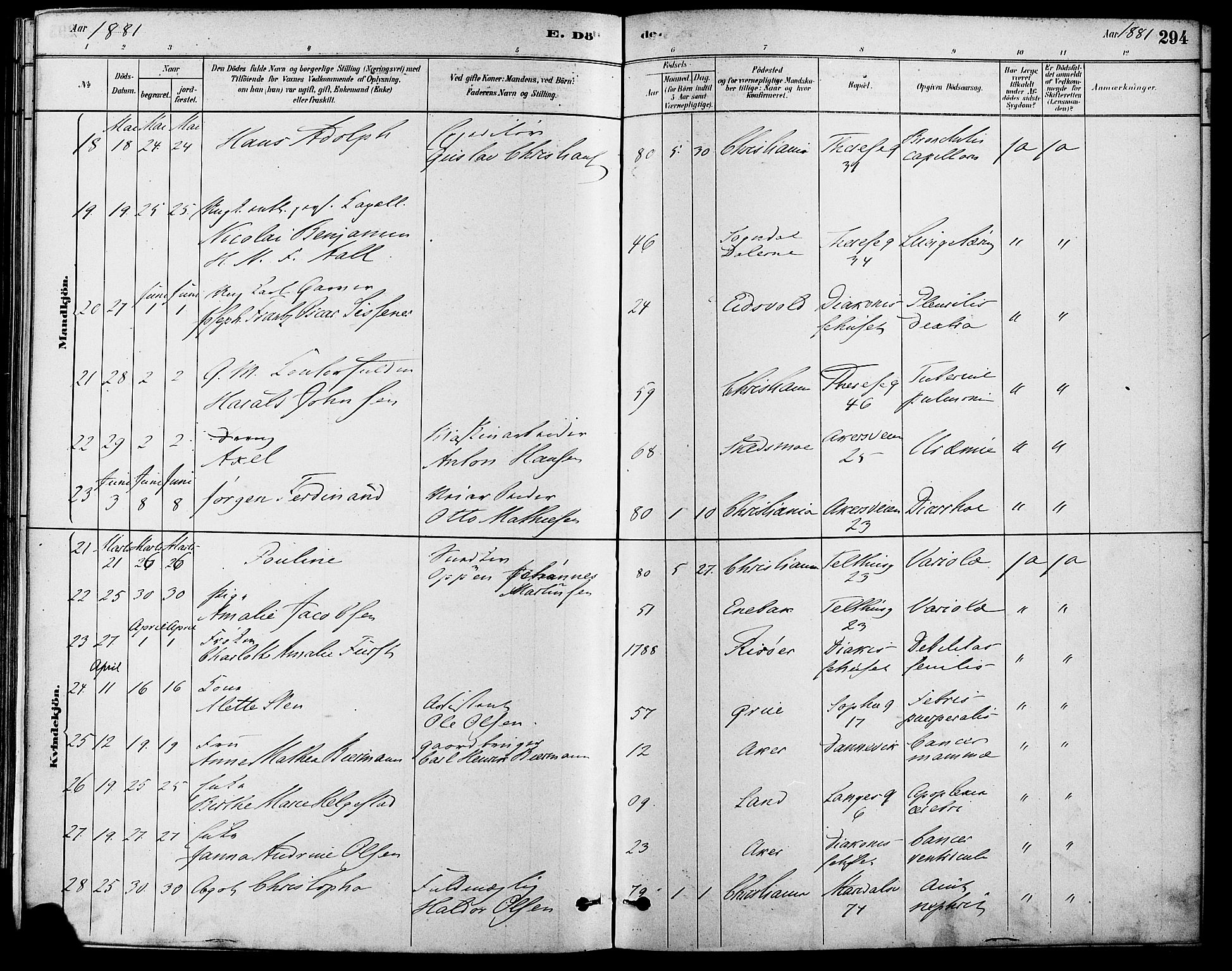 Gamle Aker prestekontor Kirkebøker, AV/SAO-A-10617a/F/L0006: Parish register (official) no. 6, 1880-1887, p. 294