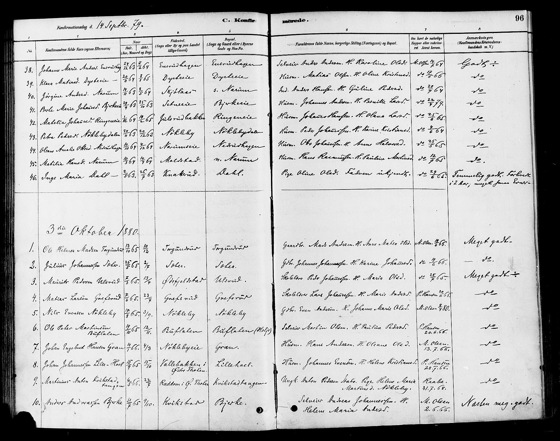 Vestre Toten prestekontor, SAH/PREST-108/H/Ha/Haa/L0010: Parish register (official) no. 10, 1878-1894, p. 96