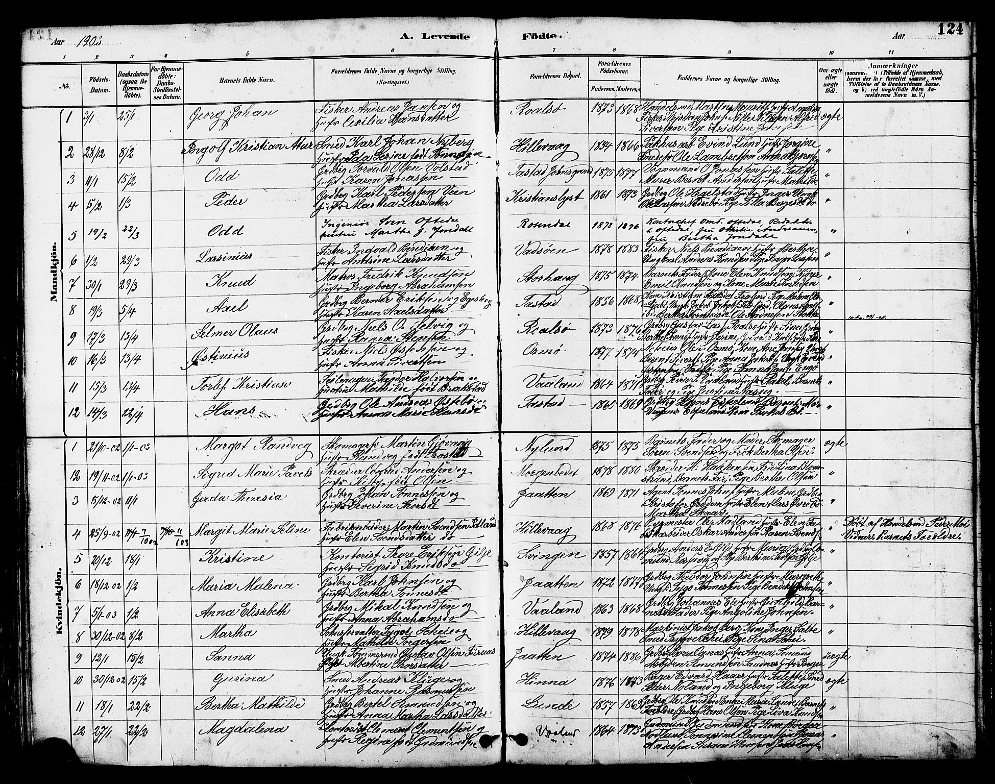 Hetland sokneprestkontor, SAST/A-101826/30/30BB/L0005: Parish register (copy) no. B 5, 1878-1910, p. 124