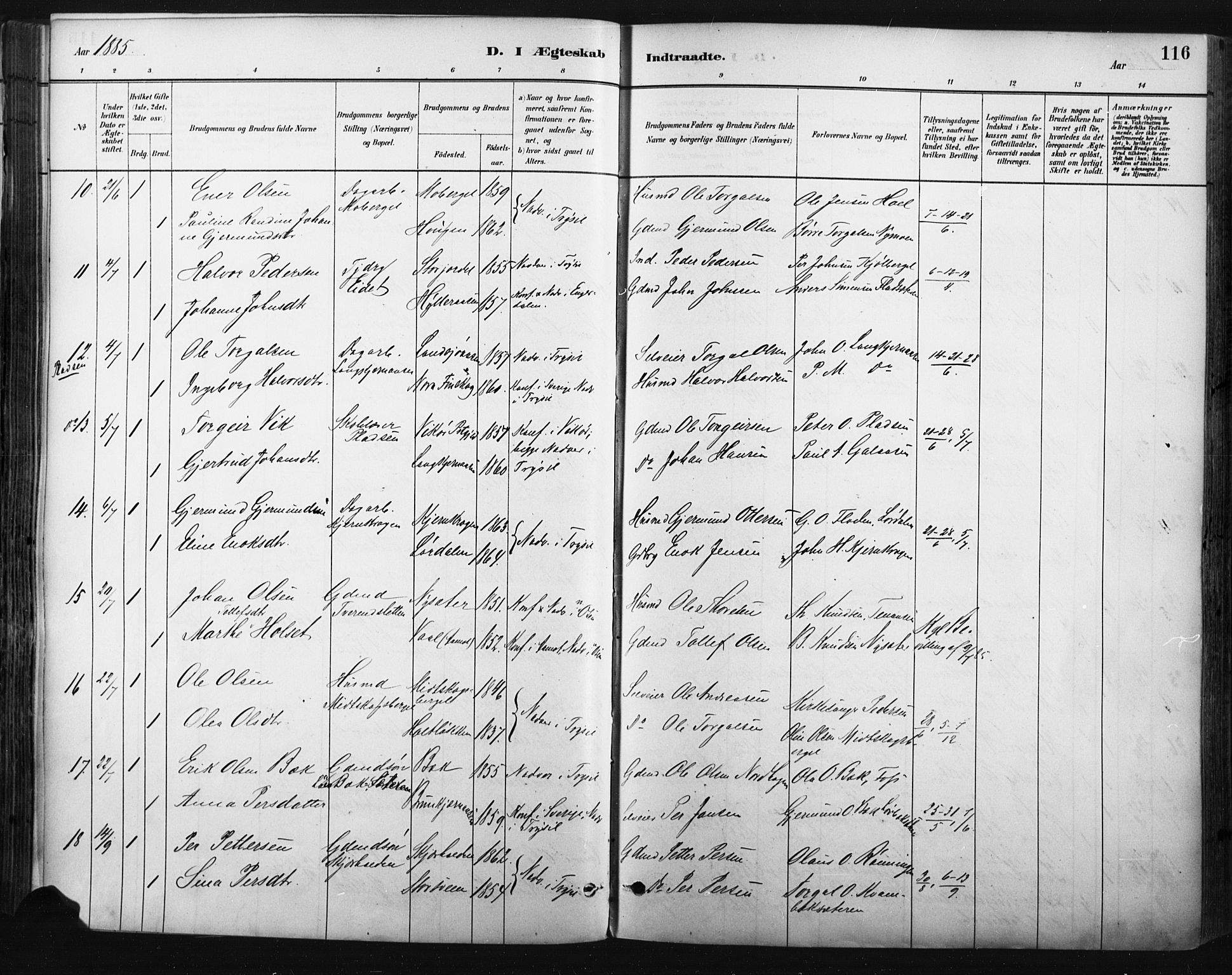 Trysil prestekontor, SAH/PREST-046/H/Ha/Haa/L0009: Parish register (official) no. 9, 1881-1897, p. 116