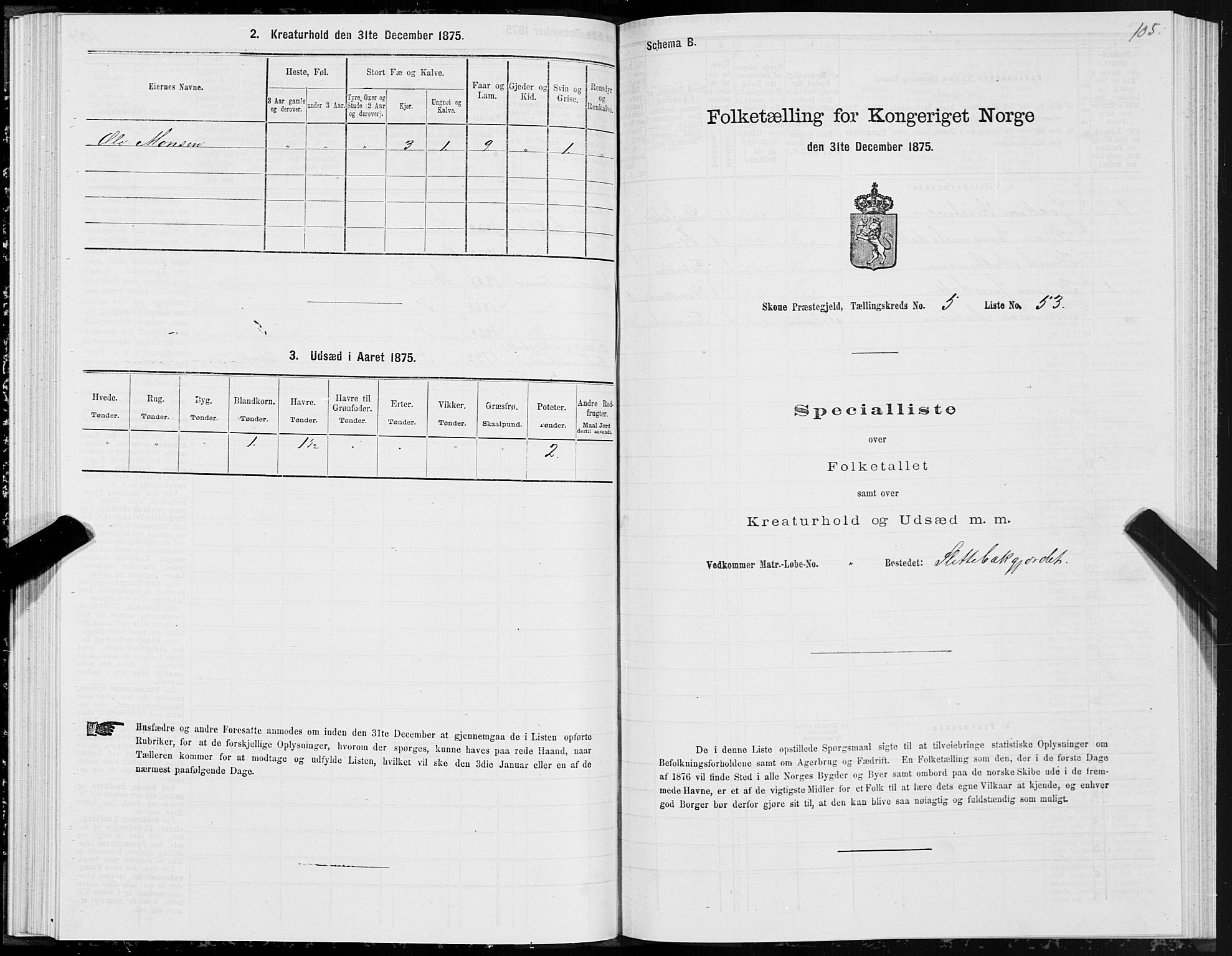 SAT, 1875 census for 1529P Skodje, 1875, p. 2105