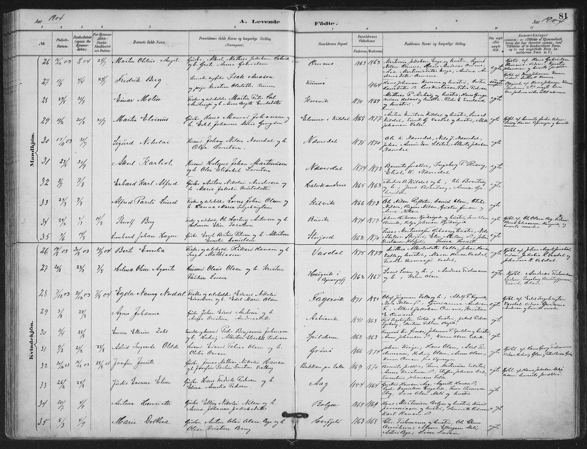 Ministerialprotokoller, klokkerbøker og fødselsregistre - Nordland, AV/SAT-A-1459/843/L0628: Parish register (official) no. 843A03, 1889-1907, p. 81