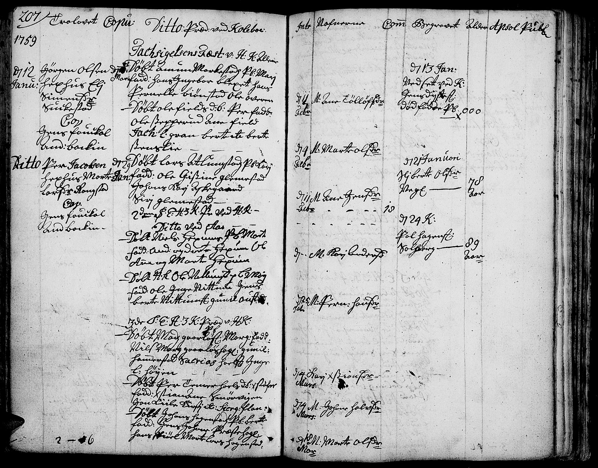 Toten prestekontor, SAH/PREST-102/H/Ha/Haa/L0004: Parish register (official) no. 4, 1751-1761, p. 207