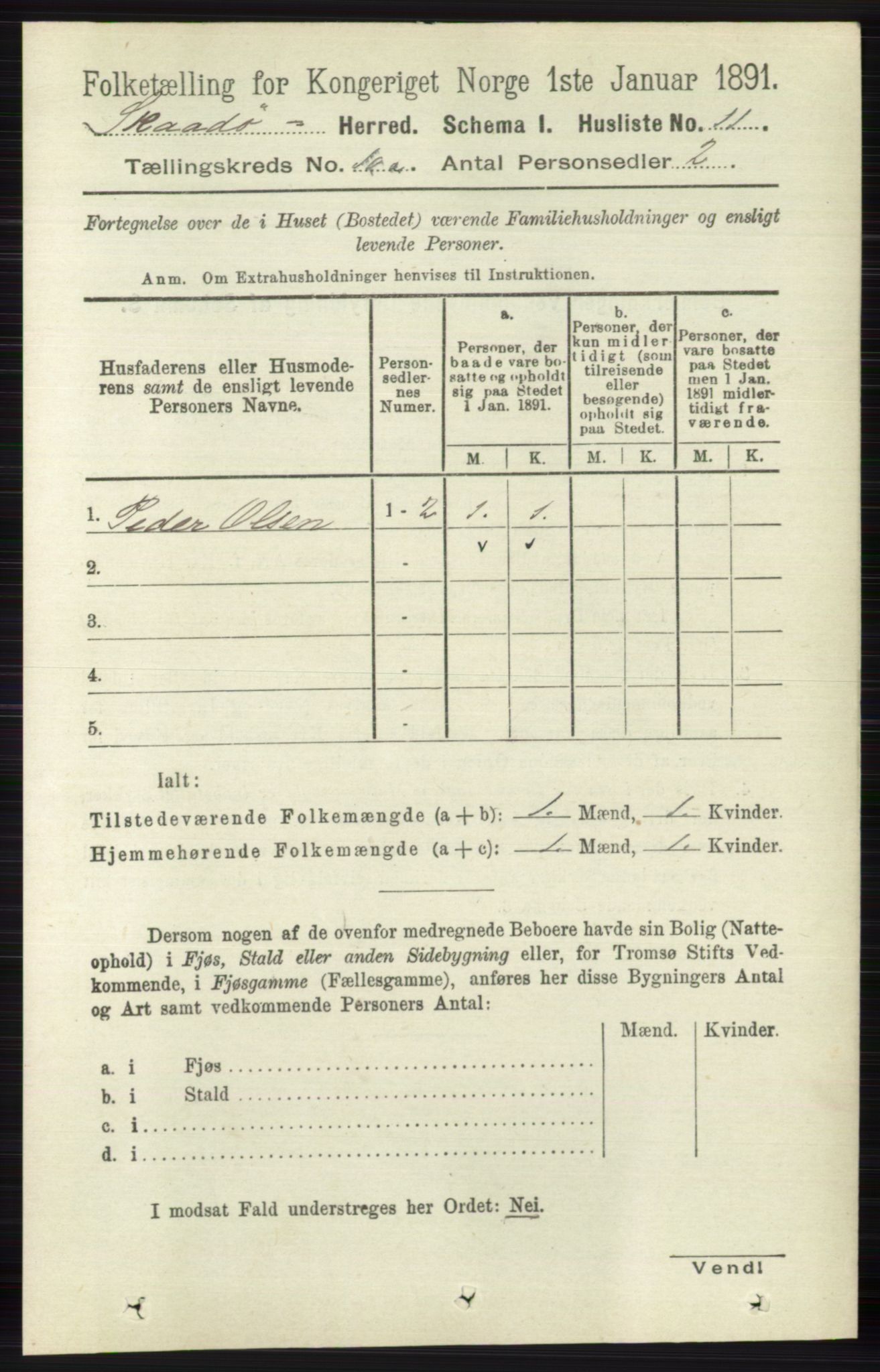 RA, 1891 census for 0815 Skåtøy, 1891, p. 4024