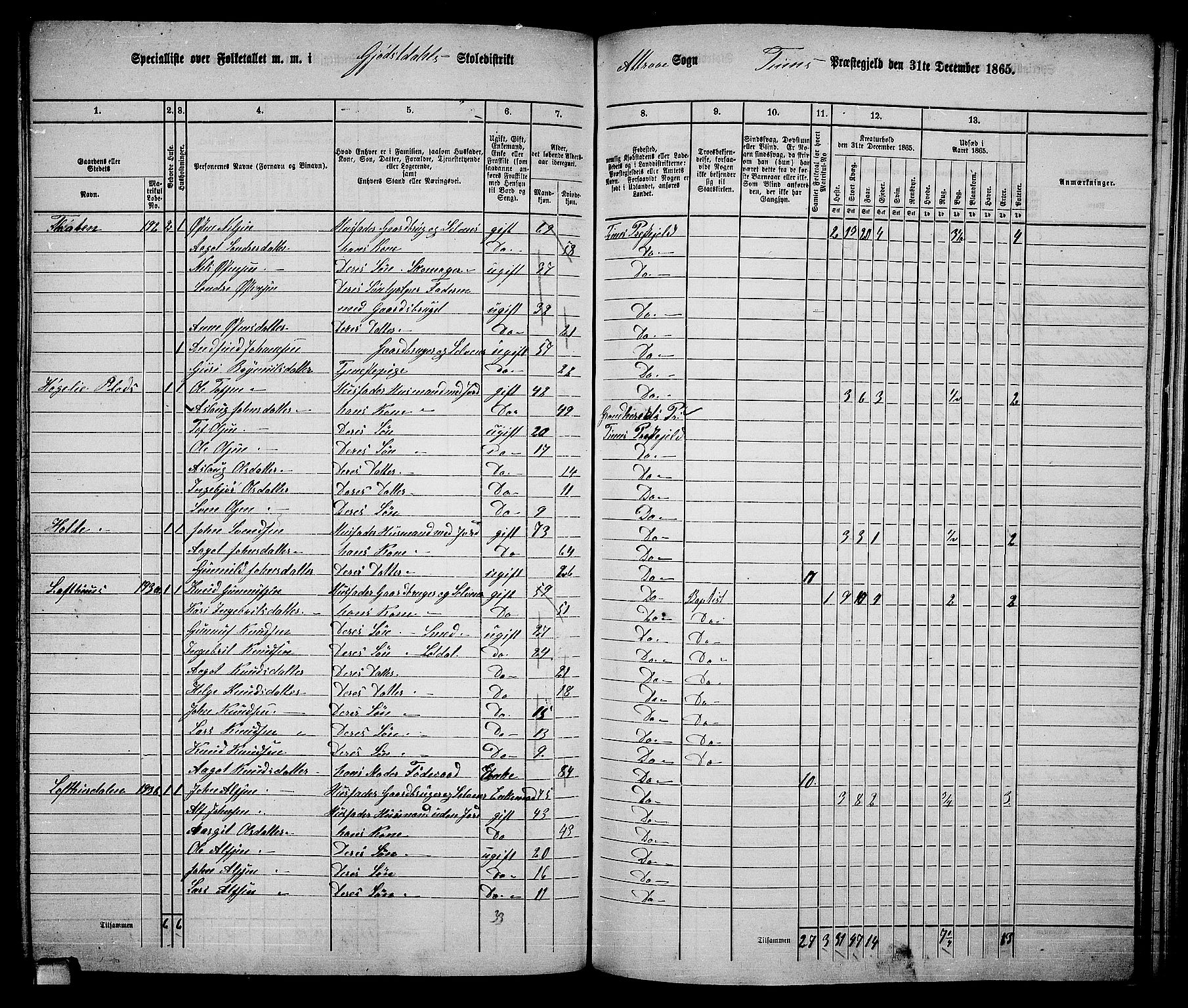 RA, 1865 census for Tinn, 1865, p. 52