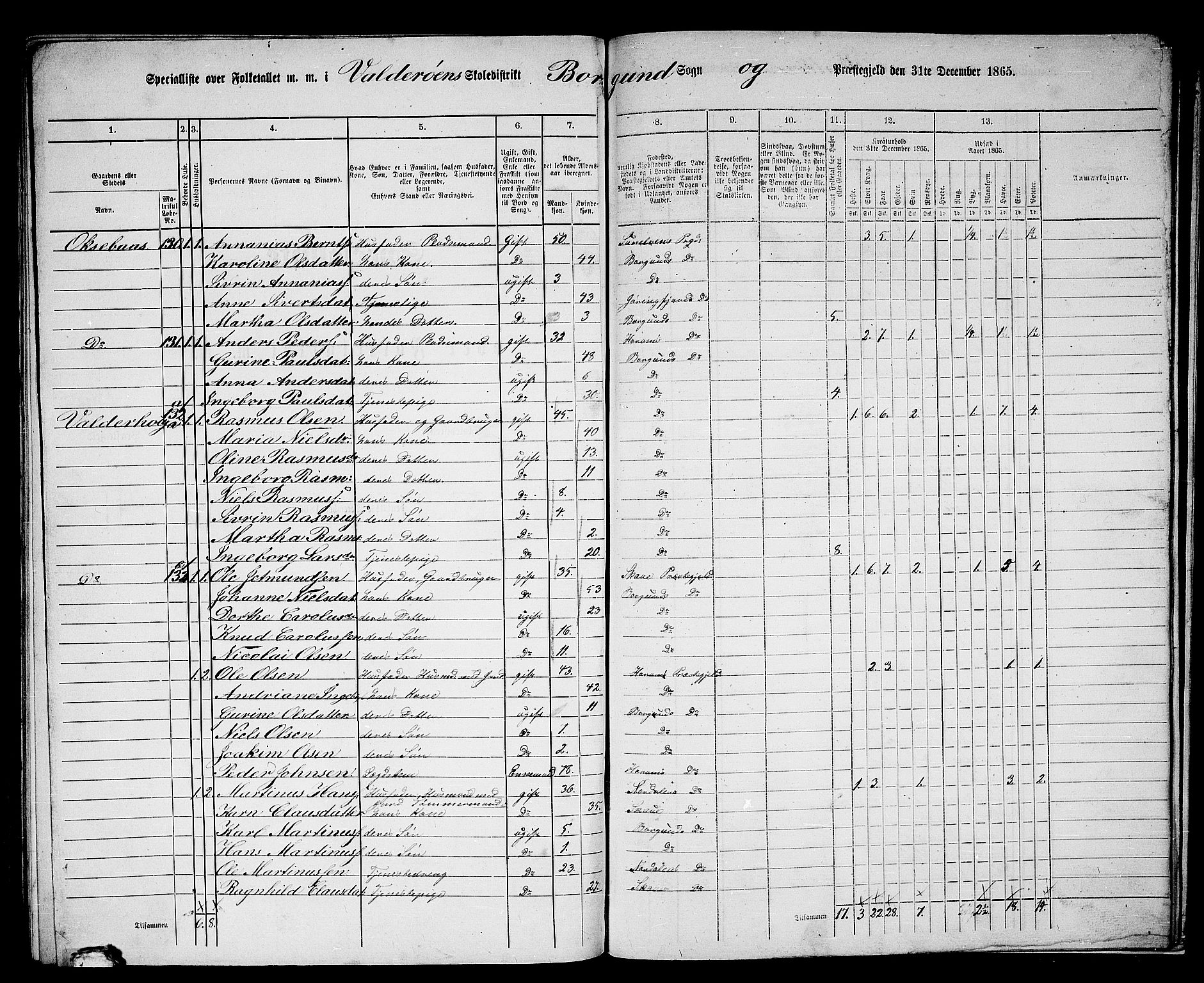 RA, 1865 census for Borgund, 1865, p. 241