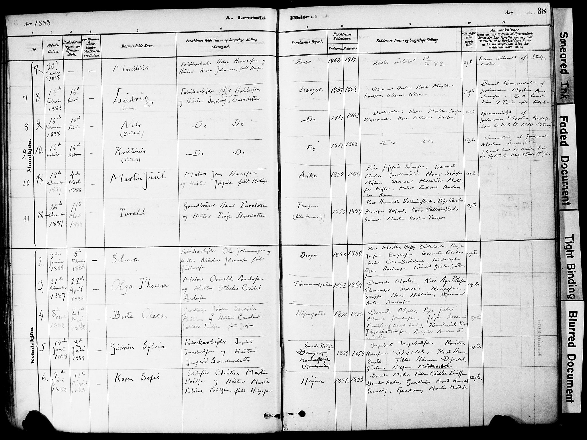 Strømm kirkebøker, AV/SAKO-A-322/F/Fa/L0004: Parish register (official) no. I 4, 1878-1899, p. 38