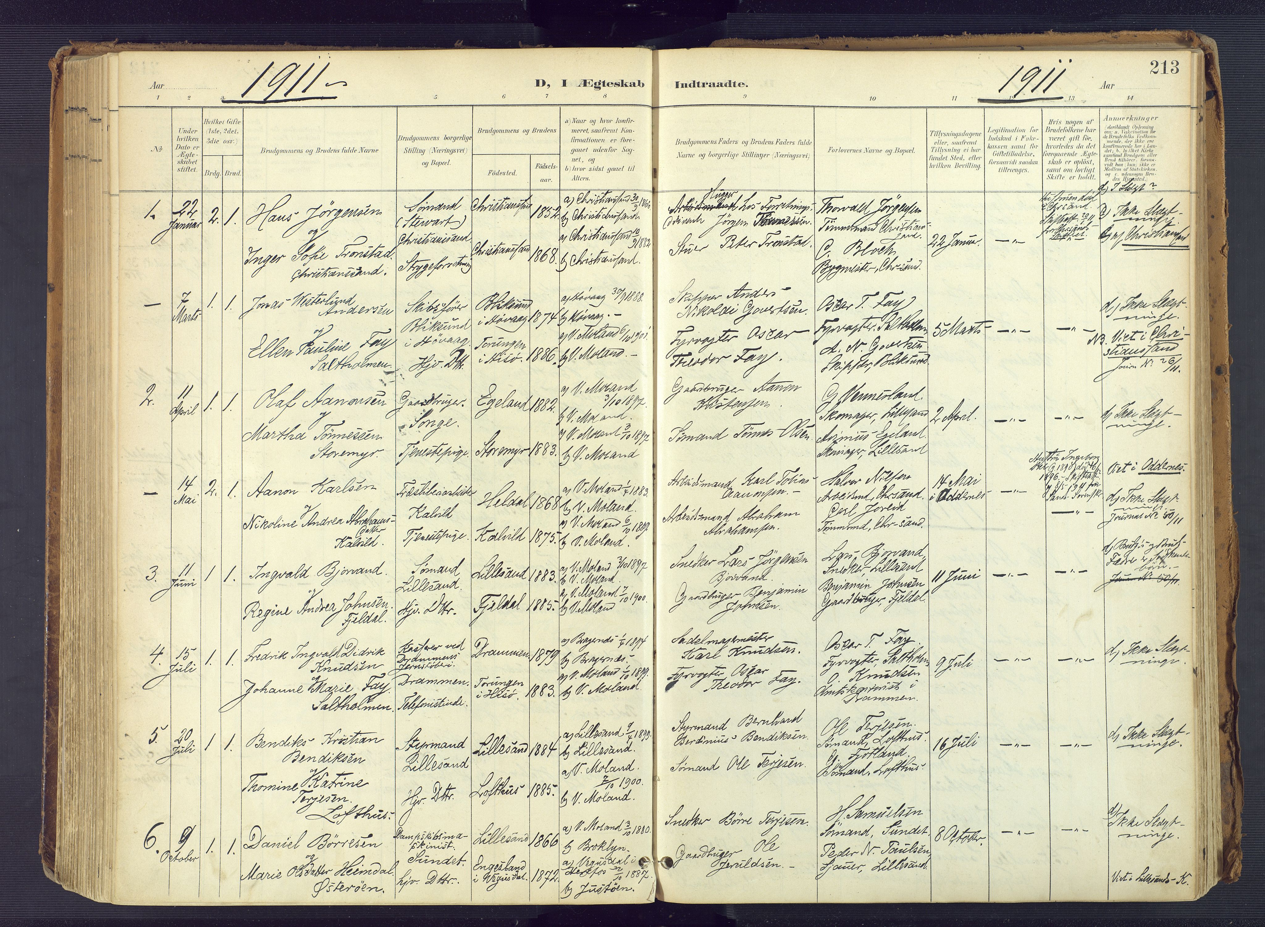 Vestre Moland sokneprestkontor, AV/SAK-1111-0046/F/Fa/Fab/L0010: Parish register (official) no. A 10, 1900-1926, p. 213