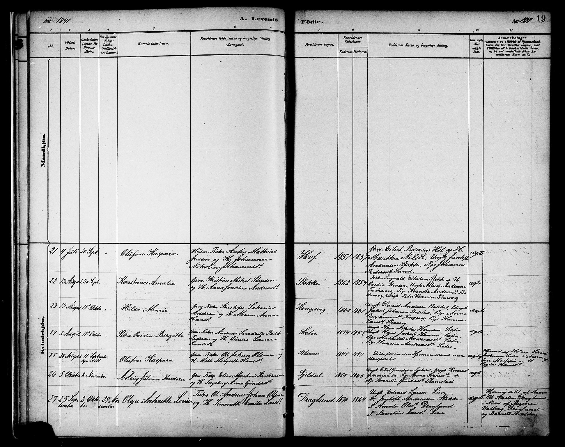 Ministerialprotokoller, klokkerbøker og fødselsregistre - Nordland, AV/SAT-A-1459/865/L0924: Parish register (official) no. 865A02, 1885-1896, p. 19