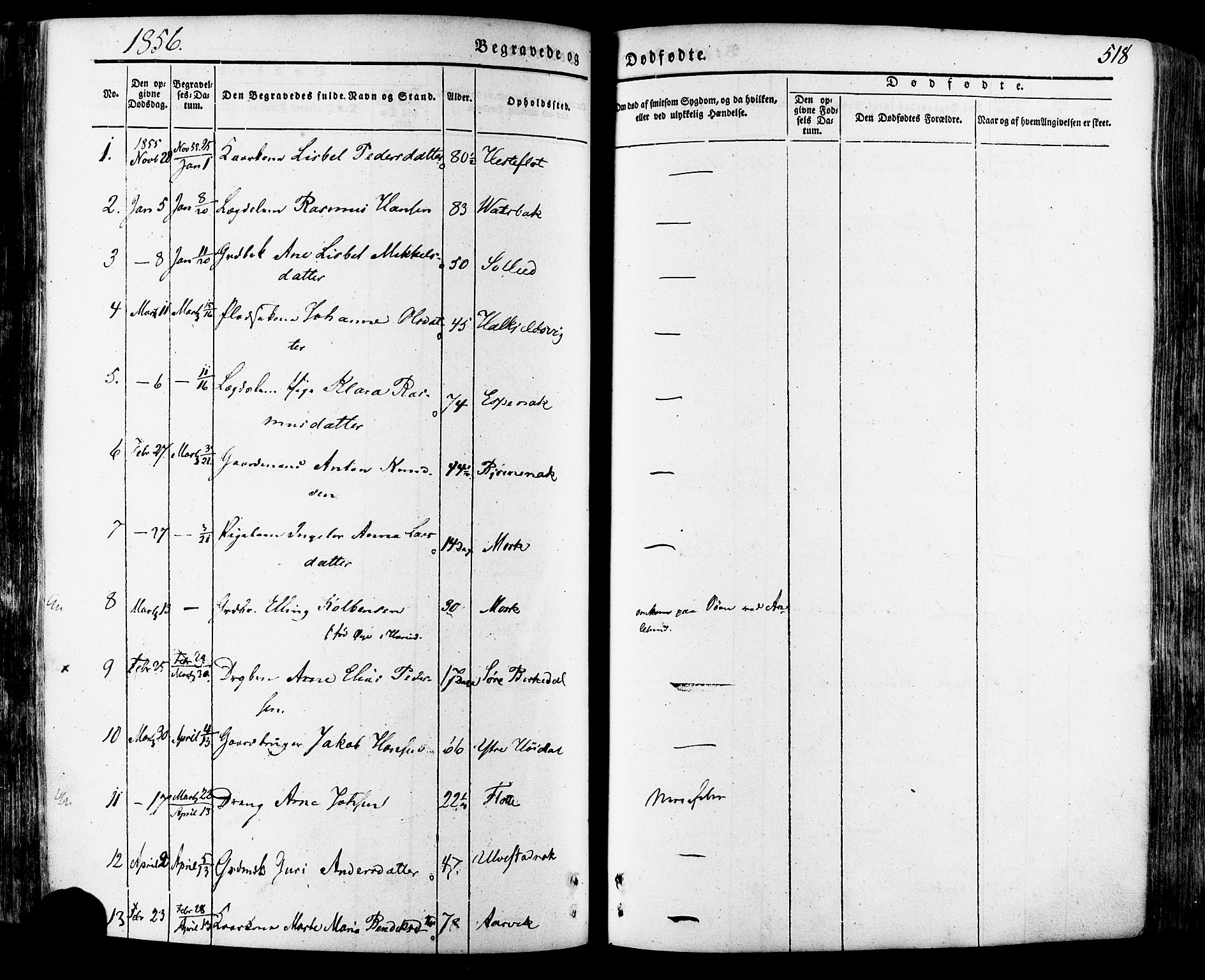 Ministerialprotokoller, klokkerbøker og fødselsregistre - Møre og Romsdal, SAT/A-1454/511/L0140: Parish register (official) no. 511A07, 1851-1878, p. 518
