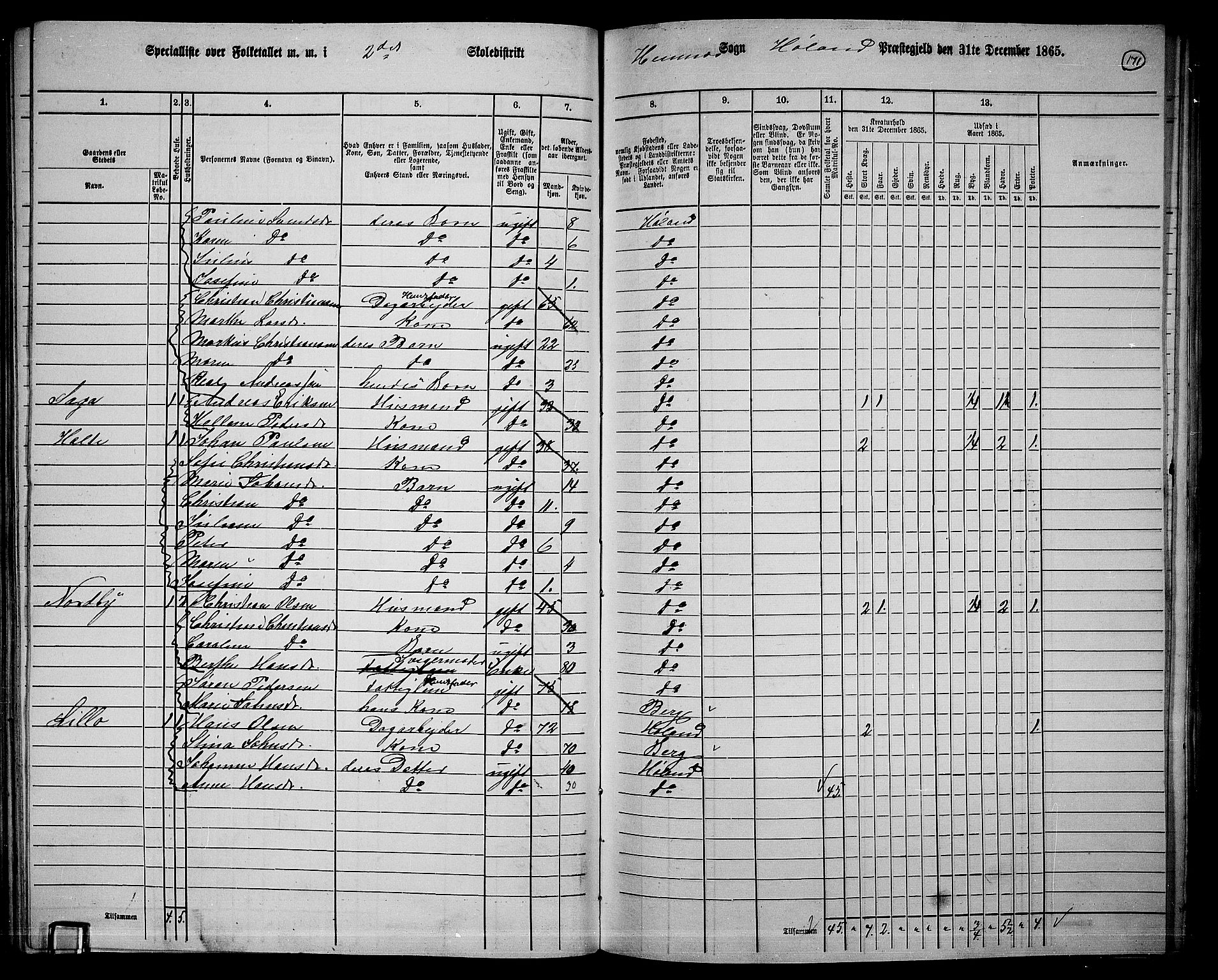 RA, 1865 census for Høland, 1865, p. 162