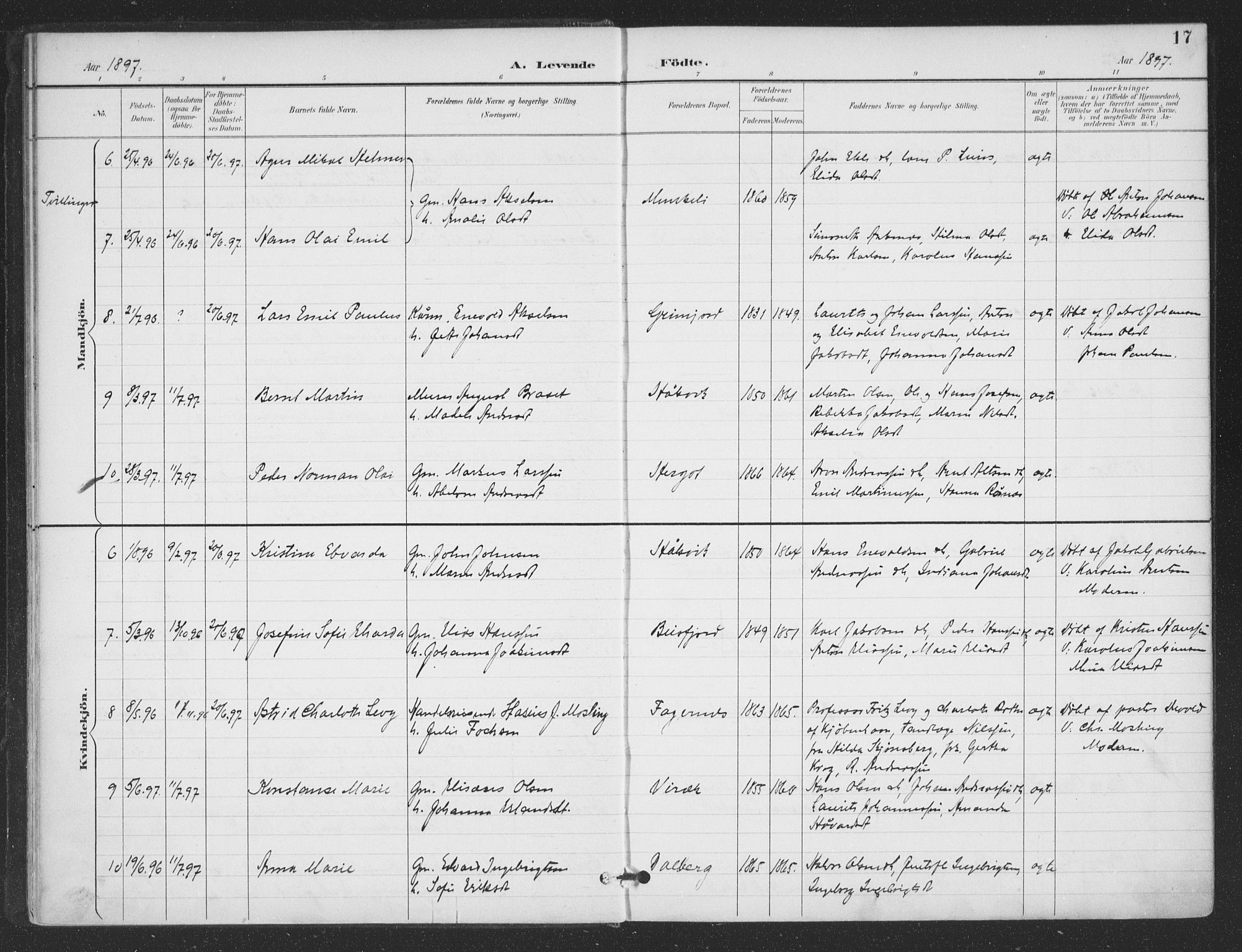 Ministerialprotokoller, klokkerbøker og fødselsregistre - Nordland, AV/SAT-A-1459/866/L0939: Parish register (official) no. 866A02, 1894-1906, p. 17