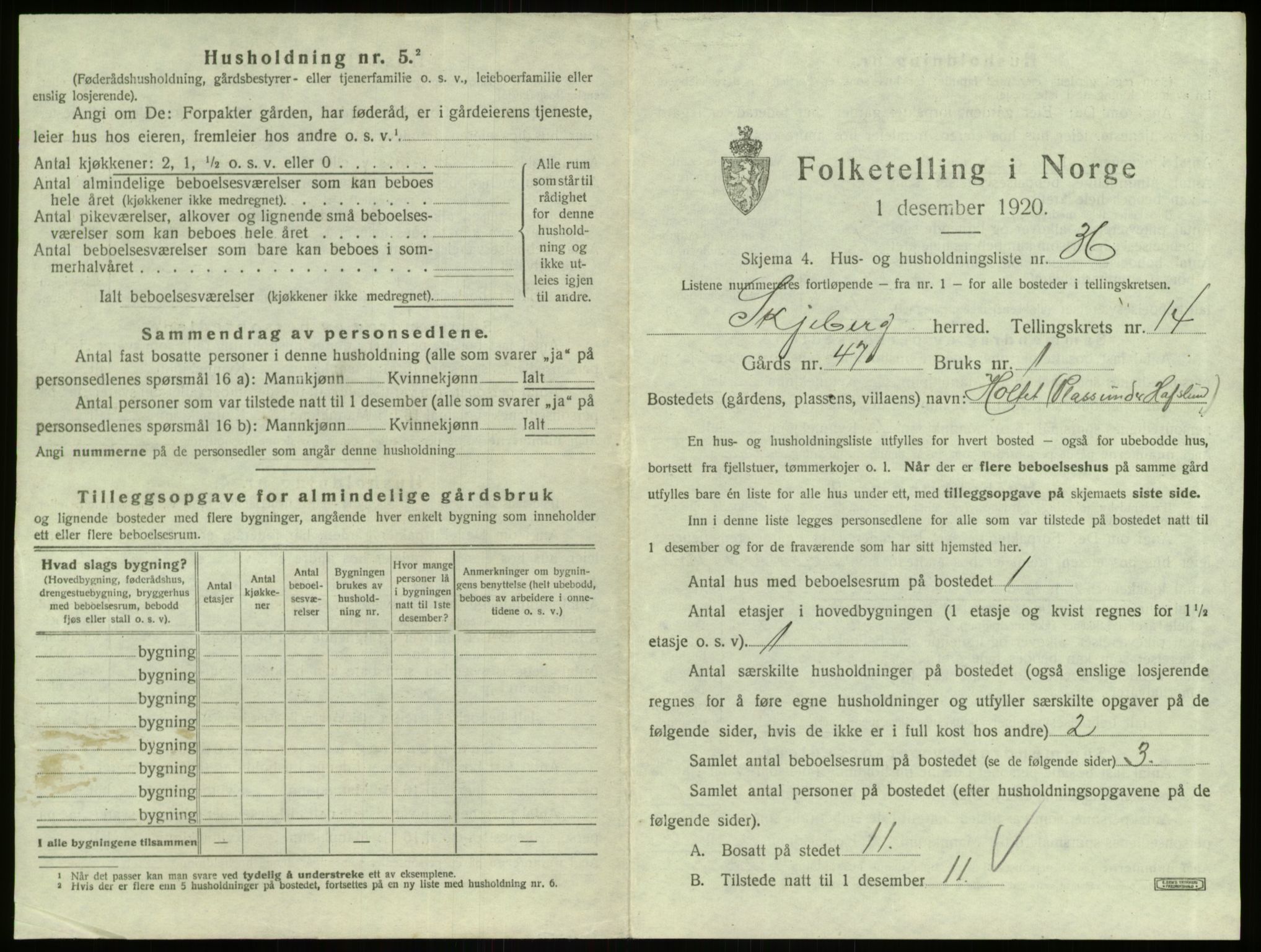 SAO, 1920 census for Skjeberg, 1920, p. 1994