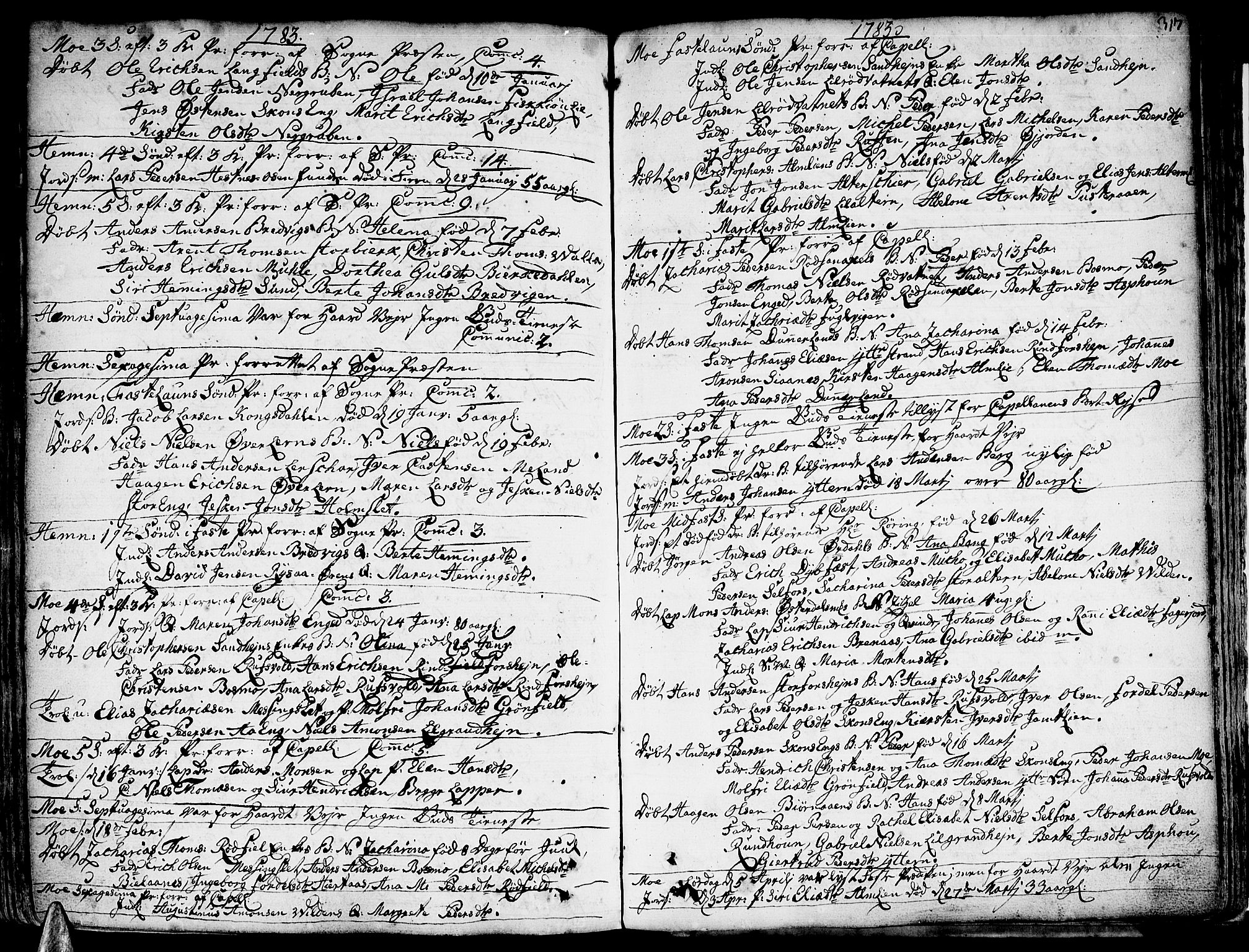 Ministerialprotokoller, klokkerbøker og fødselsregistre - Nordland, AV/SAT-A-1459/825/L0348: Parish register (official) no. 825A04, 1752-1788, p. 317