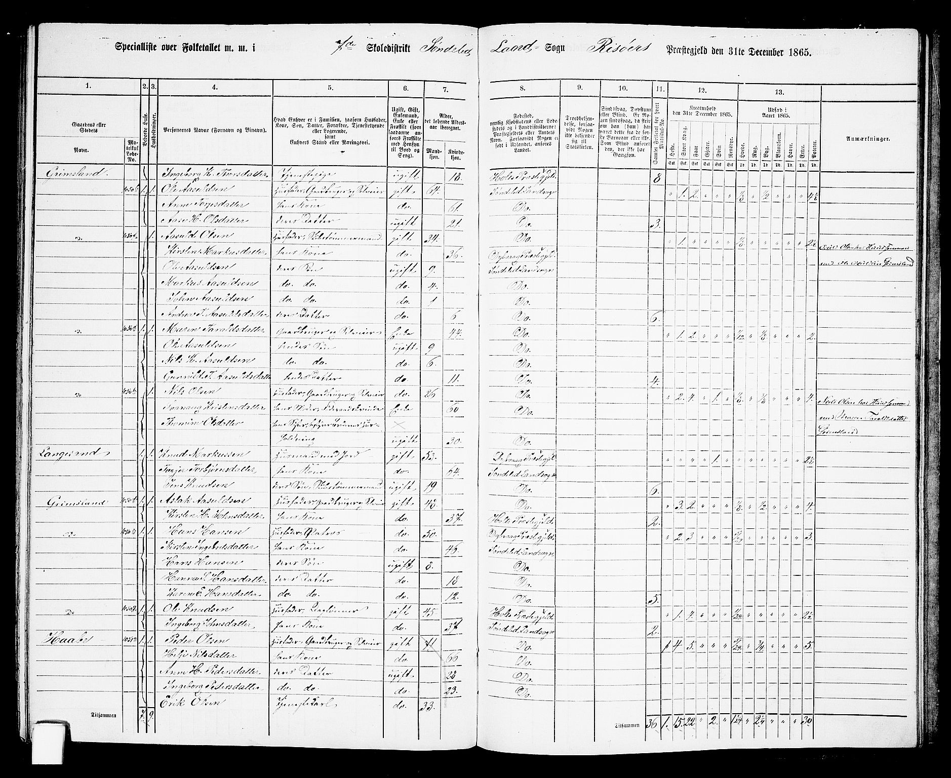 RA, 1865 census for Risør/Søndeled, 1865, p. 131