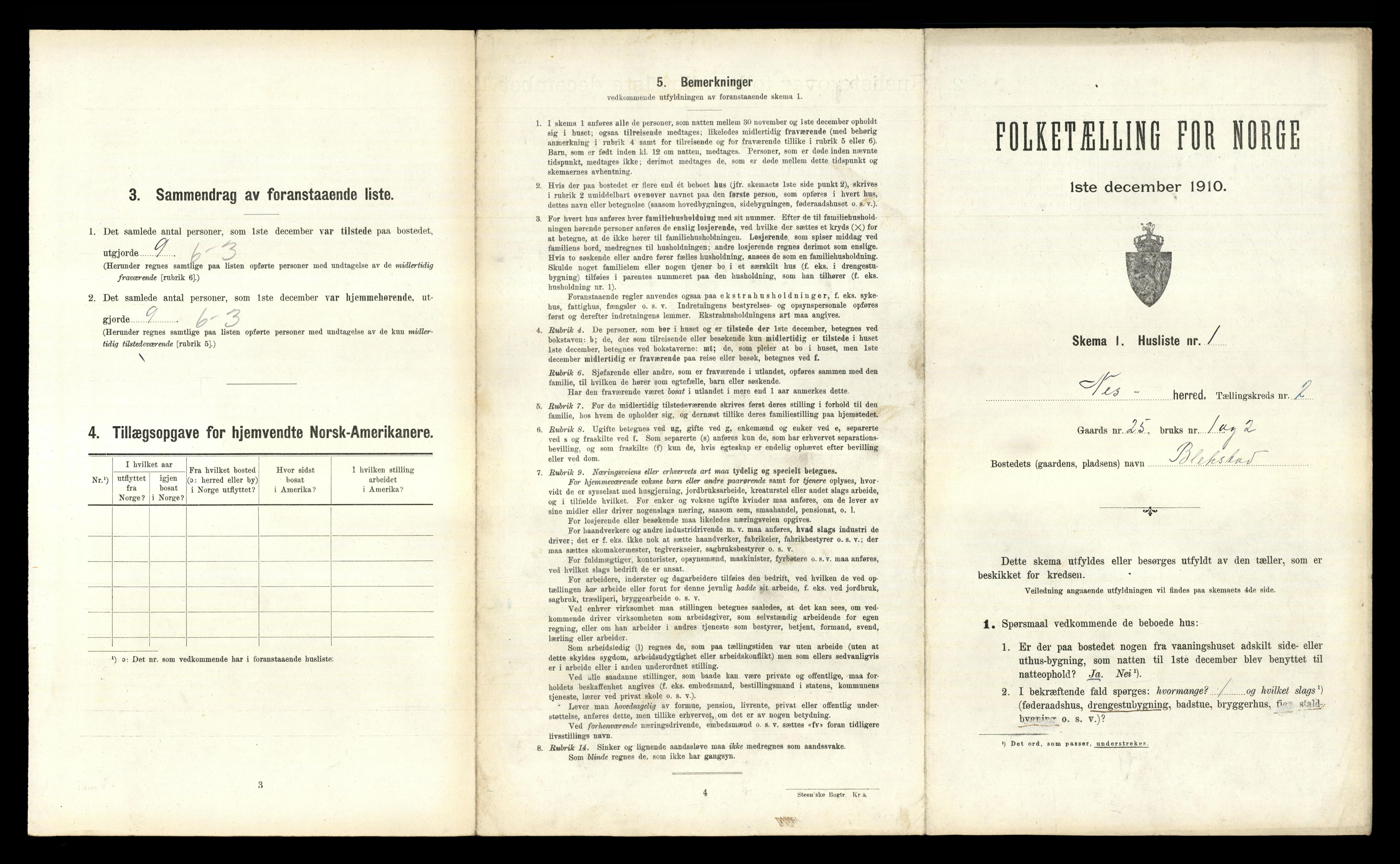 RA, 1910 census for Nes, 1910, p. 384