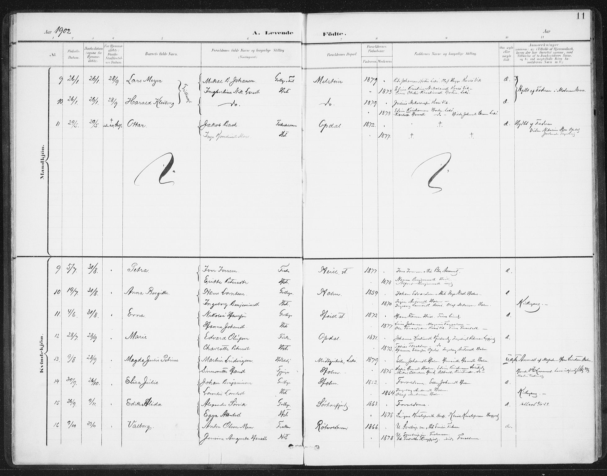 Ministerialprotokoller, klokkerbøker og fødselsregistre - Nordland, AV/SAT-A-1459/811/L0167: Parish register (official) no. 811A04, 1899-1913, p. 11