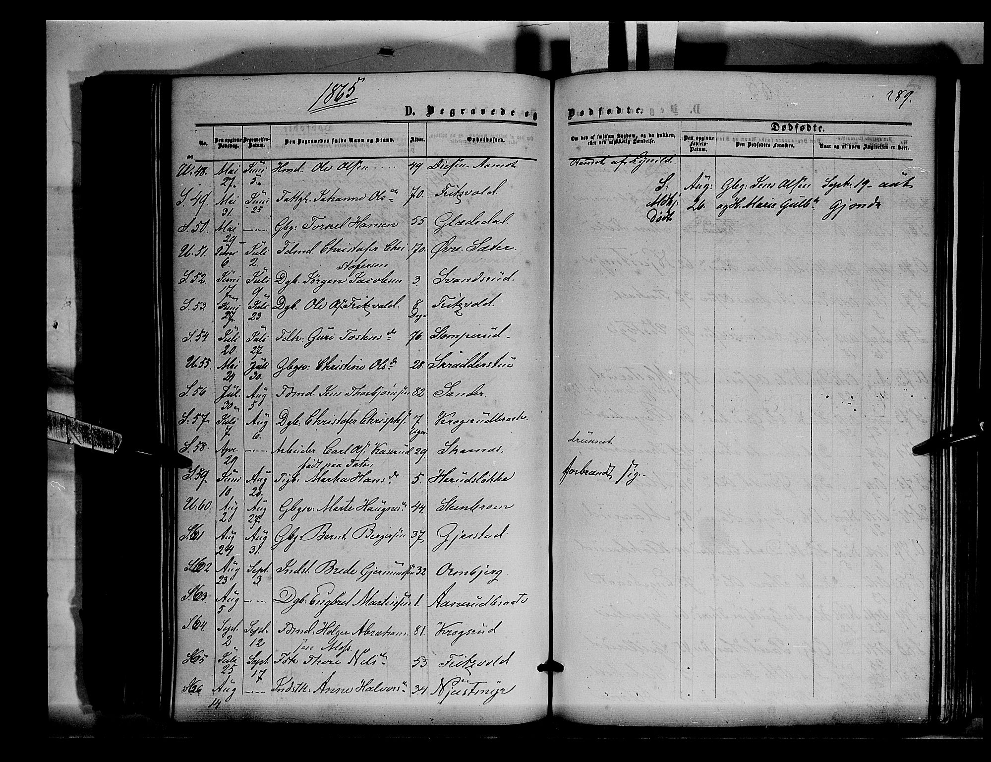 Sør-Odal prestekontor, AV/SAH-PREST-030/H/Ha/Haa/L0003: Parish register (official) no. 3, 1864-1870, p. 289