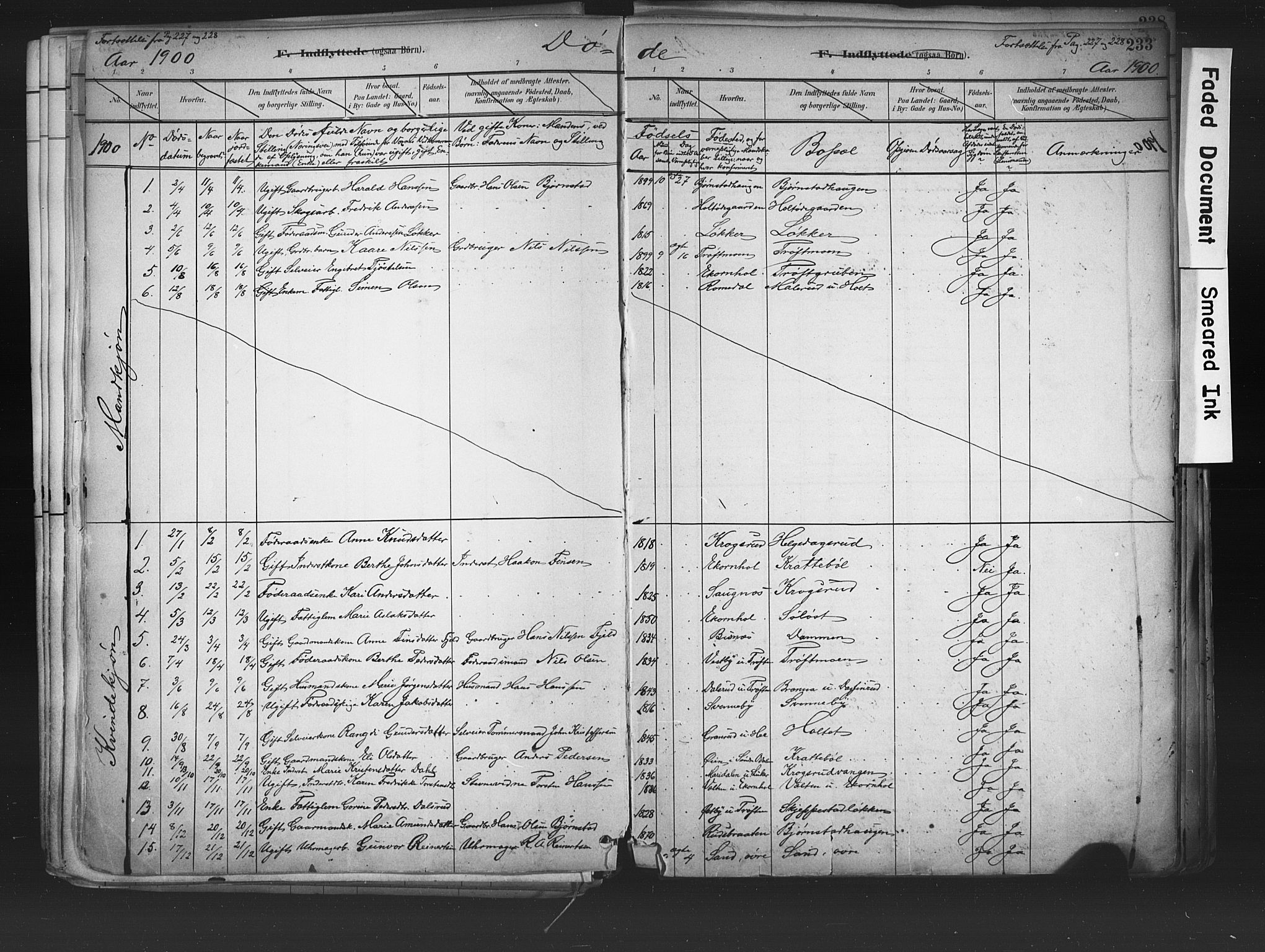 Nord-Odal prestekontor, AV/SAH-PREST-032/H/Ha/Haa/L0006: Parish register (official) no. 6, 1886-1901, p. 233