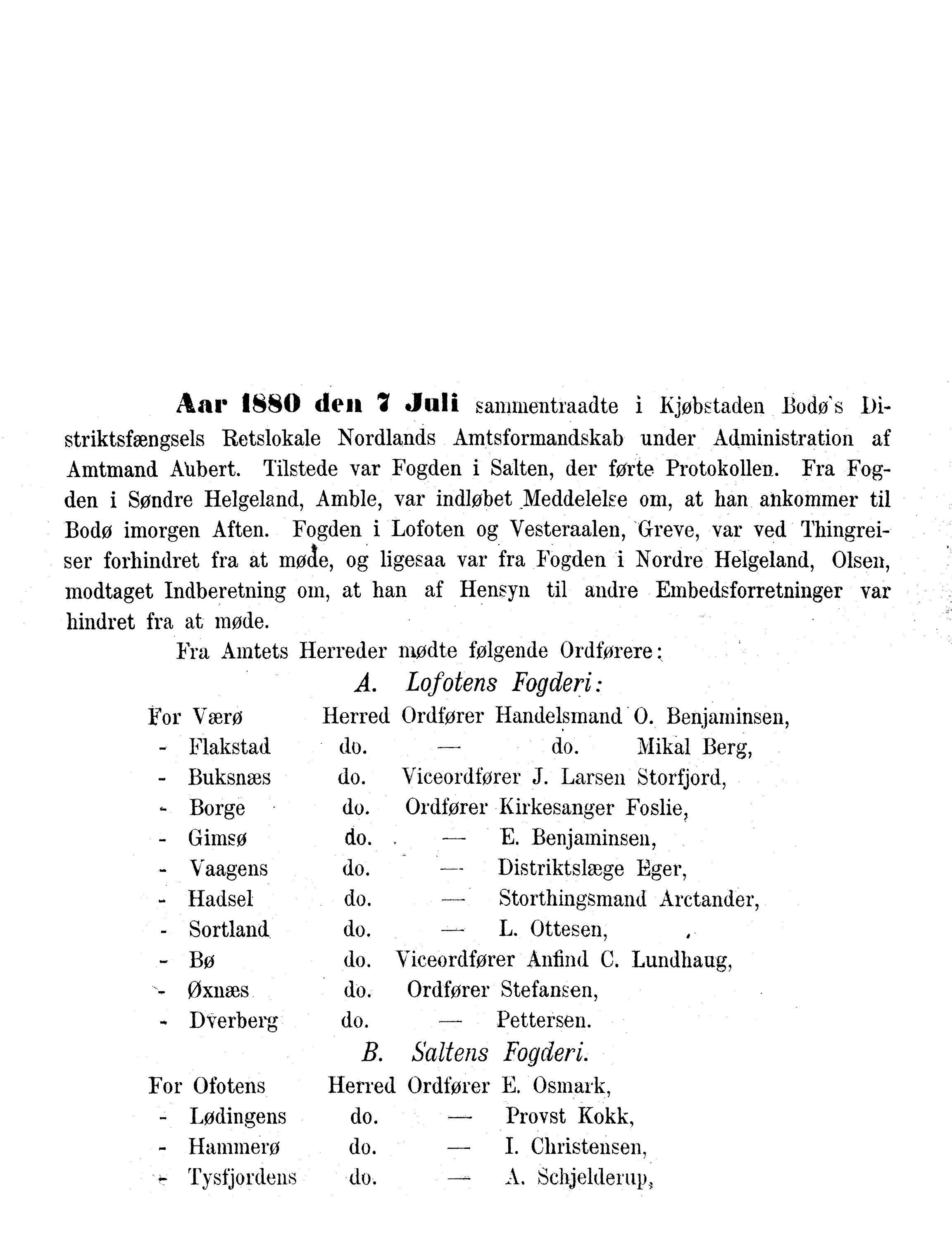 Nordland Fylkeskommune. Fylkestinget, AIN/NFK-17/176/A/Ac/L0010: Fylkestingsforhandlinger 1874-1880, 1874-1880