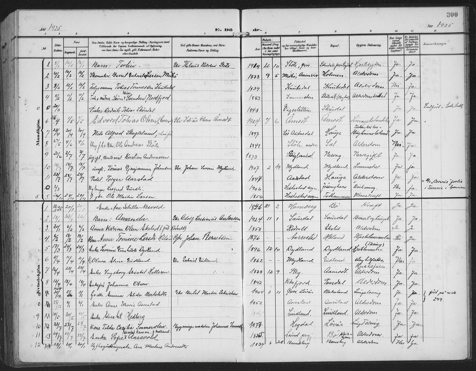 Sokndal sokneprestkontor, AV/SAST-A-101808: Parish register (copy) no. B 8, 1908-1934, p. 300