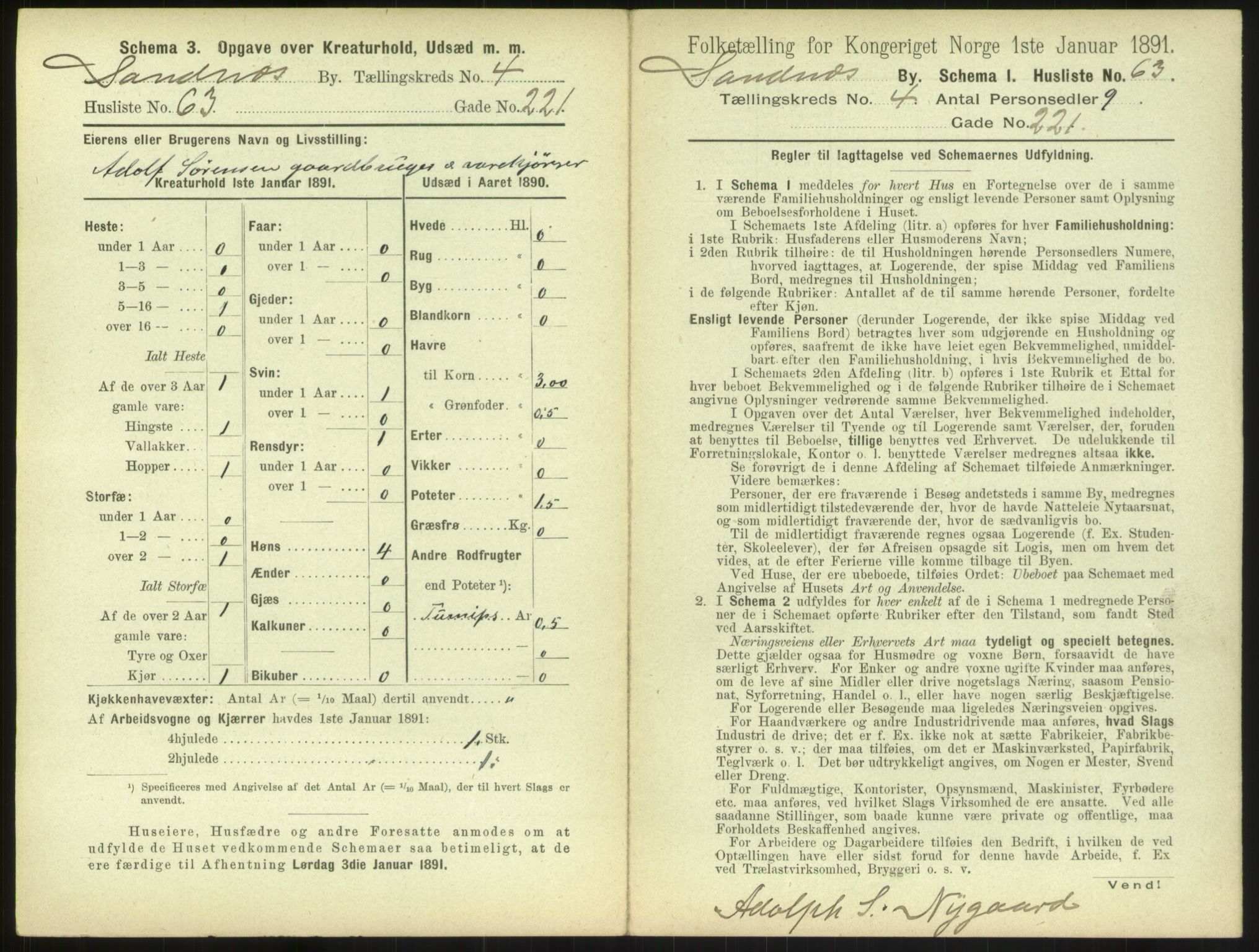 RA, 1891 census for 1102 Sandnes, 1891, p. 475