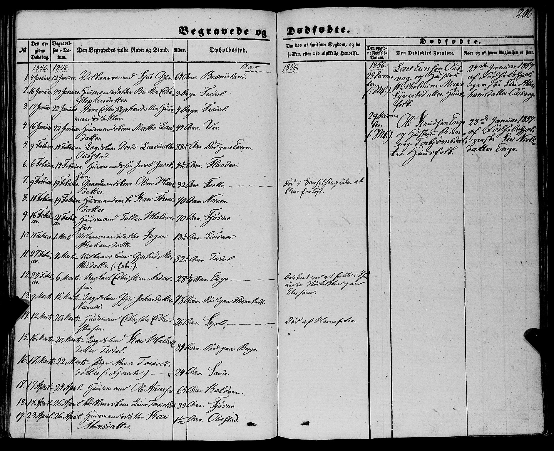 Etne sokneprestembete, AV/SAB-A-75001/H/Haa: Parish register (official) no. A 8, 1848-1862, p. 206