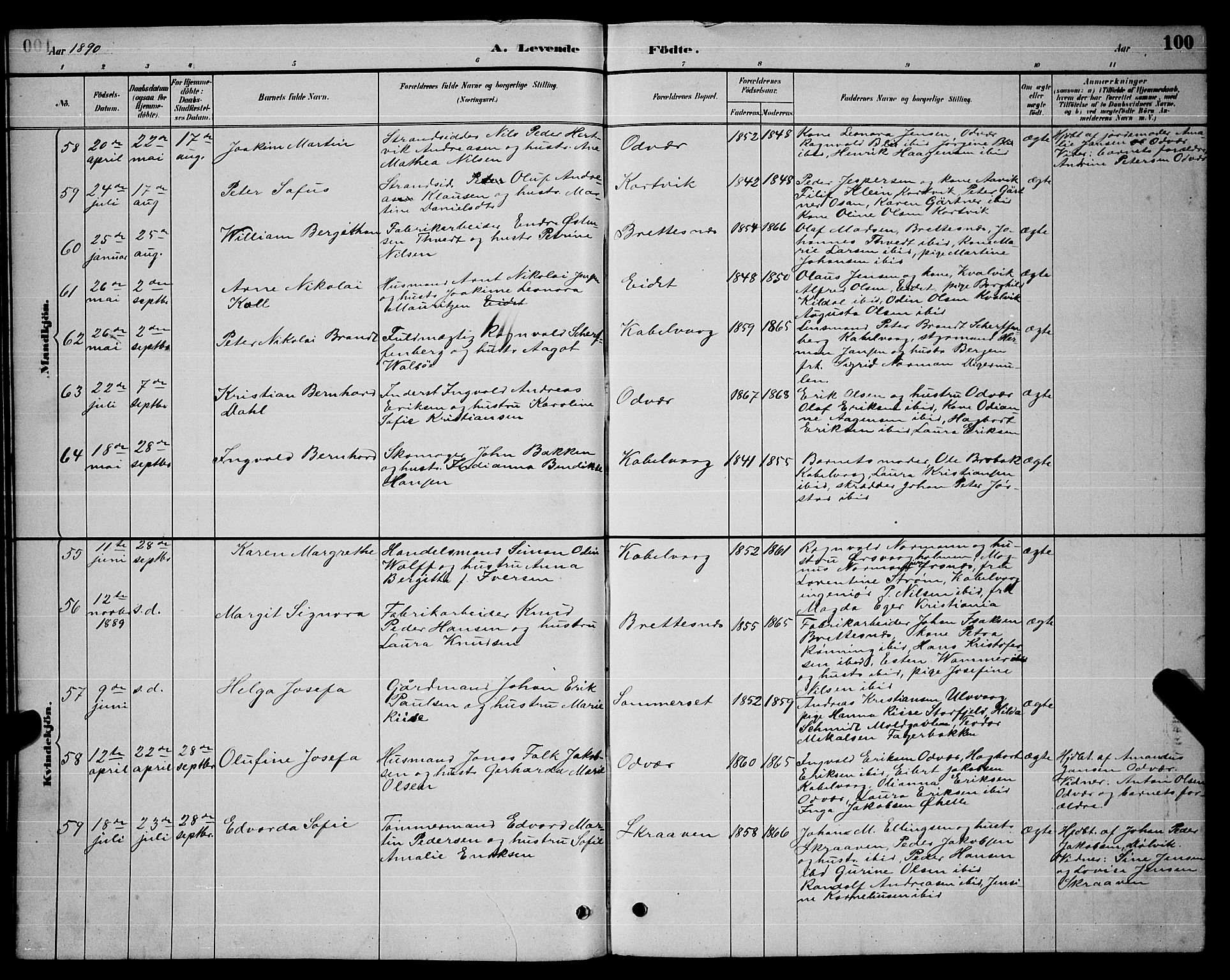 Ministerialprotokoller, klokkerbøker og fødselsregistre - Nordland, AV/SAT-A-1459/874/L1076: Parish register (copy) no. 874C05, 1884-1890, p. 100