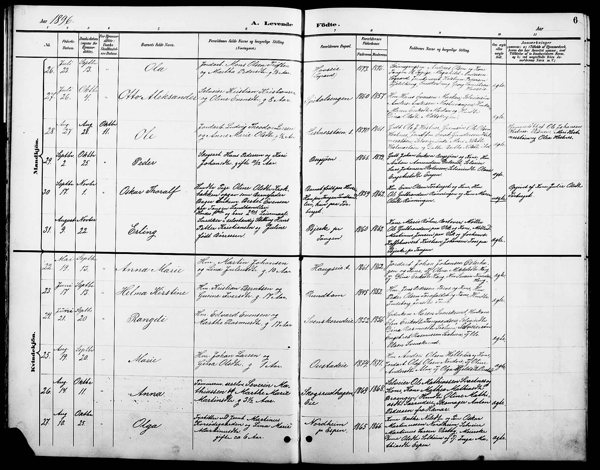 Stange prestekontor, AV/SAH-PREST-002/L/L0011: Parish register (copy) no. 11, 1895-1917, p. 6