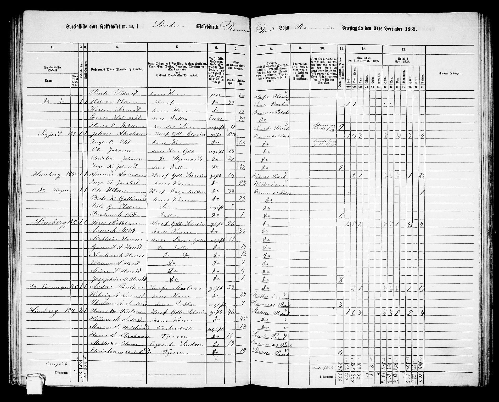 RA, 1865 census for Ramnes, 1865, p. 24